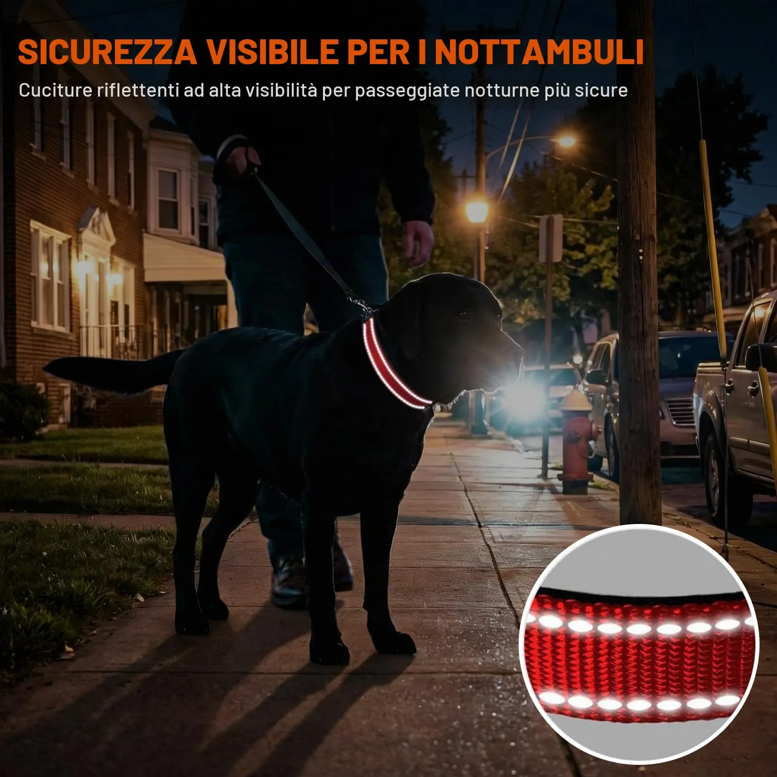 Taglory Collare per Cani in Nylon Imbottito, Regolabile e Riflettente, Taglia L, Rosso - immagine 5
