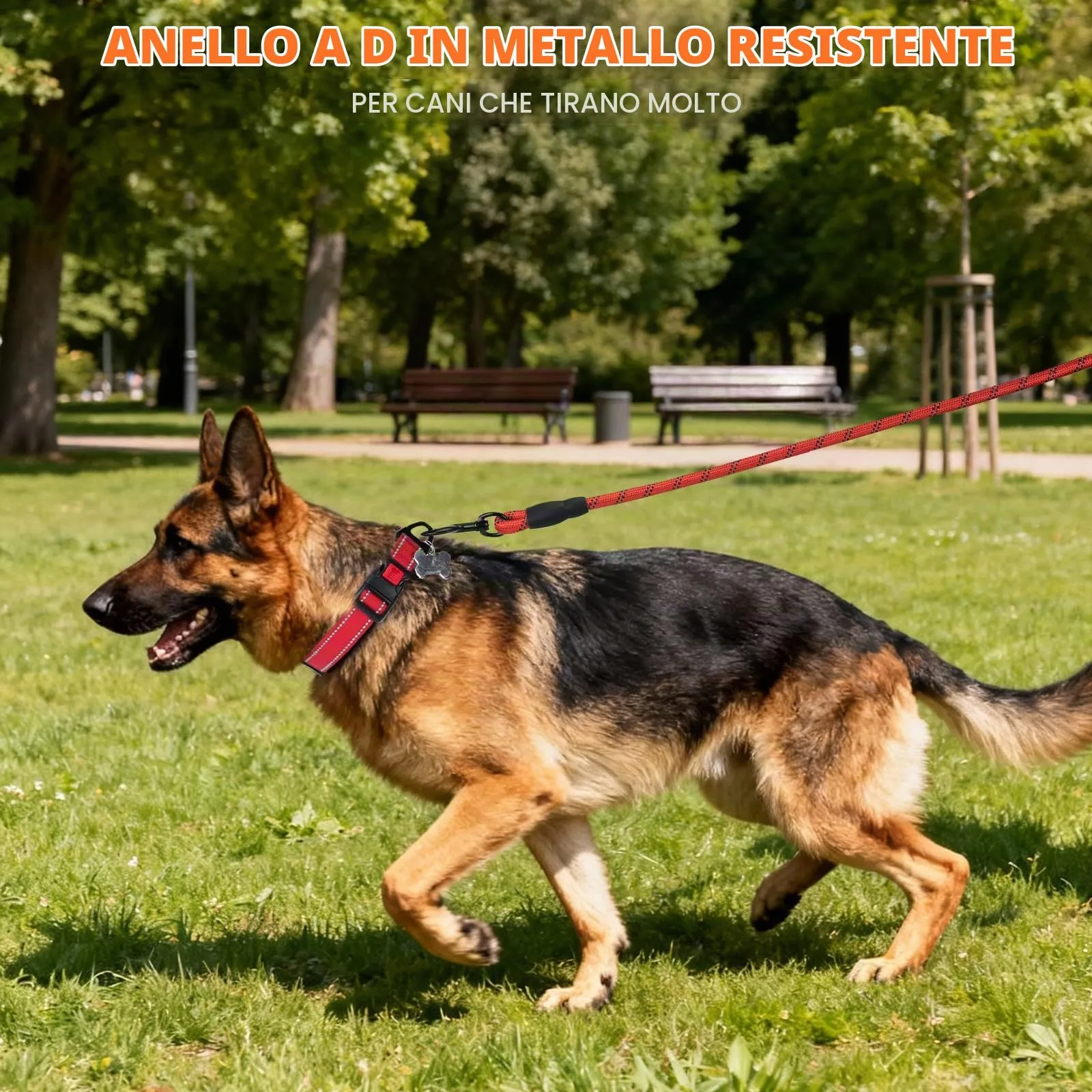 Taglory Collare per Cani in Nylon Imbottito, Regolabile e Riflettente, Taglia L, Rosso - immagine 6