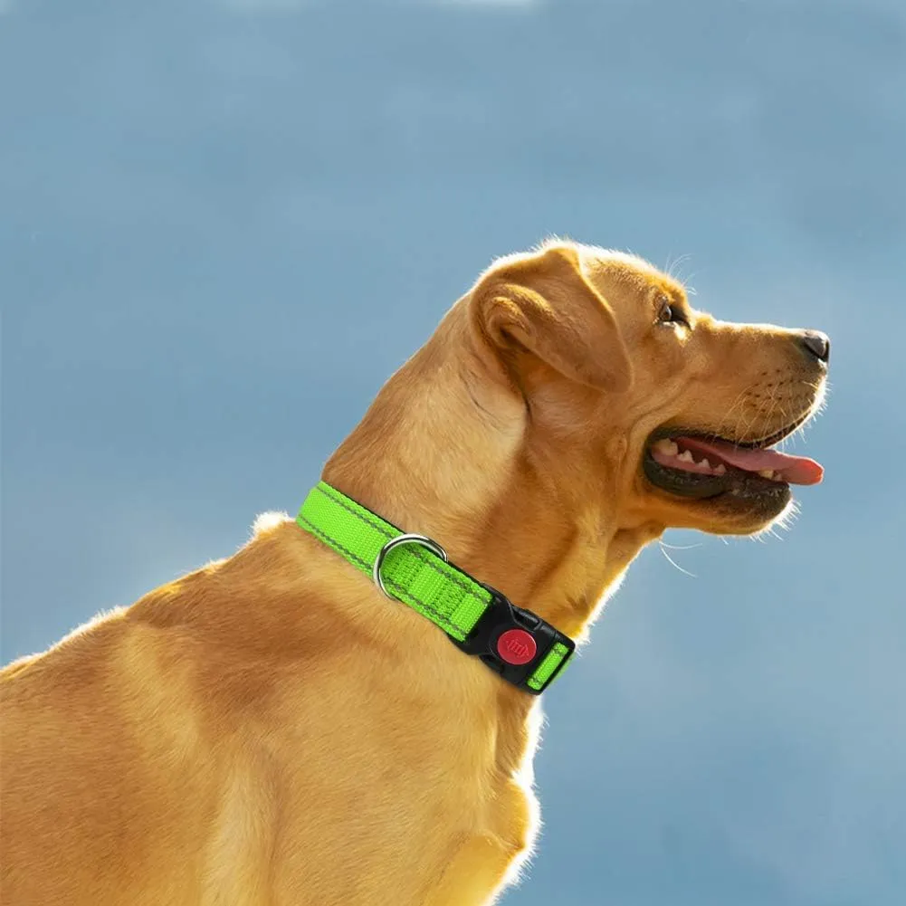 Taglory Collare per Cani in Nylon Imbottito, Regolabile e Riflettente, Verde, Taglia L - immagine 2