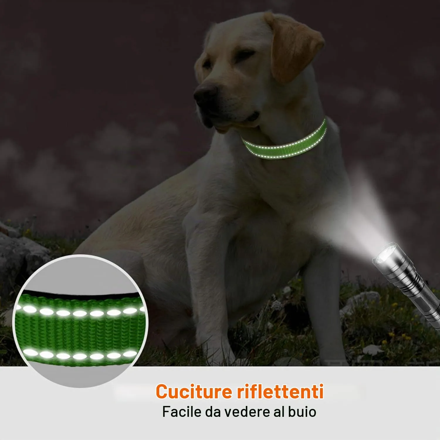 Taglory Collare per Cani in Nylon Imbottito, Regolabile e Riflettente, Verde, Taglia L - immagine 5