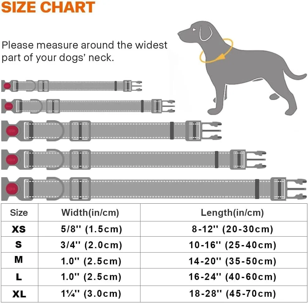Taglory Collare per Cani in Nylon Imbottito, Regolabile e Riflettente, Verde, Taglia L - immagine 6