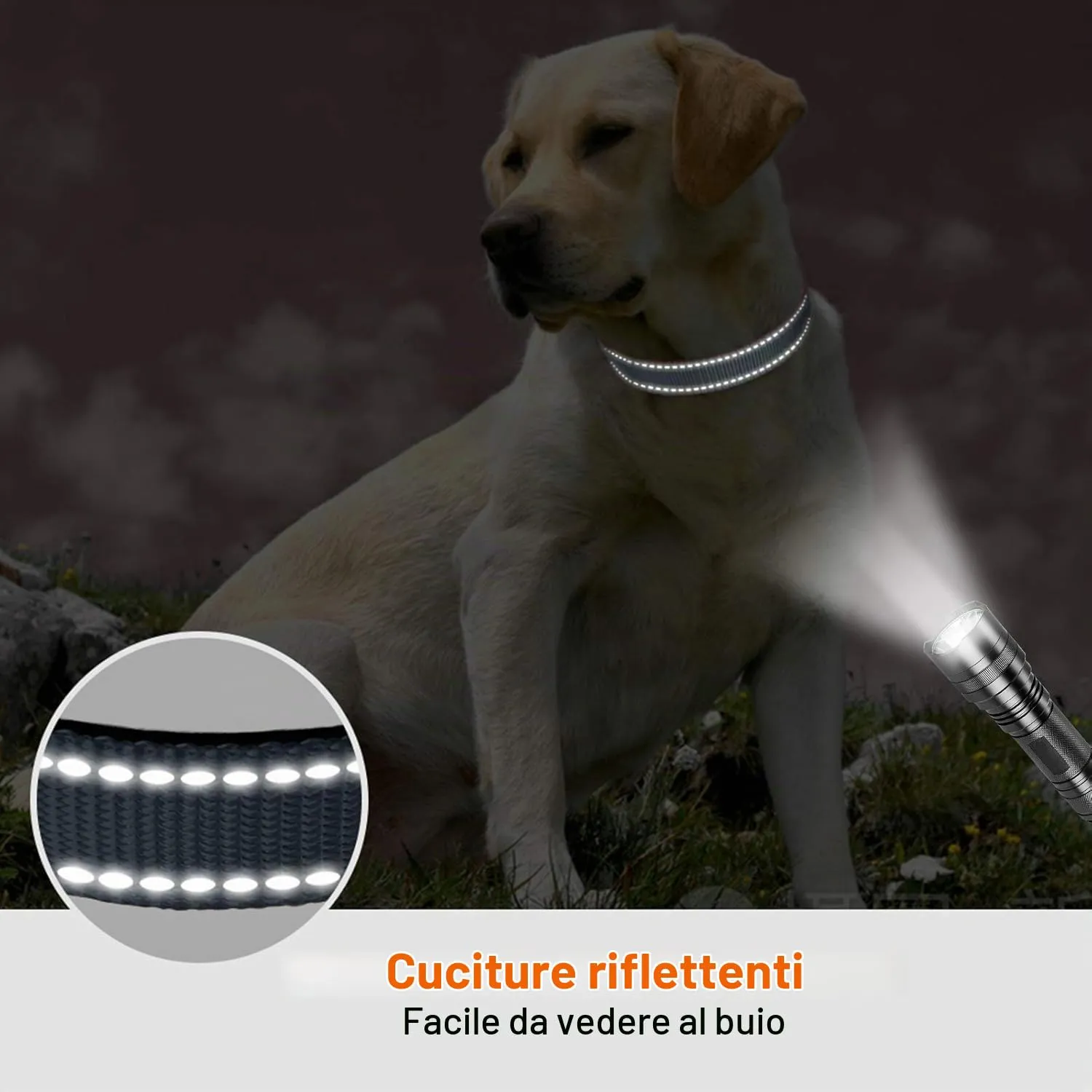 Taglory Collare per Cani in Nylon Imbottito Riflettente, Taglia Grande, Grigio - immagine 5