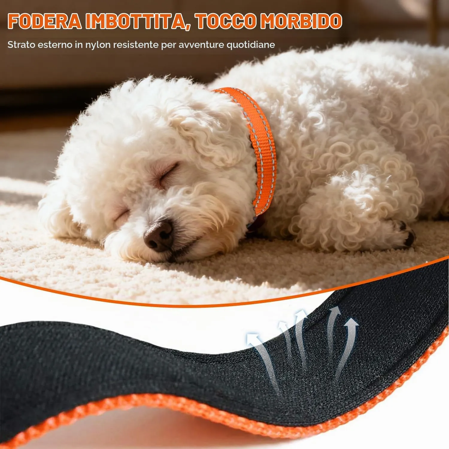 Taglory Collare per Cani in Nylon Imbottito, Regolabile e Riflettente, Arancione, XS - immagine 4