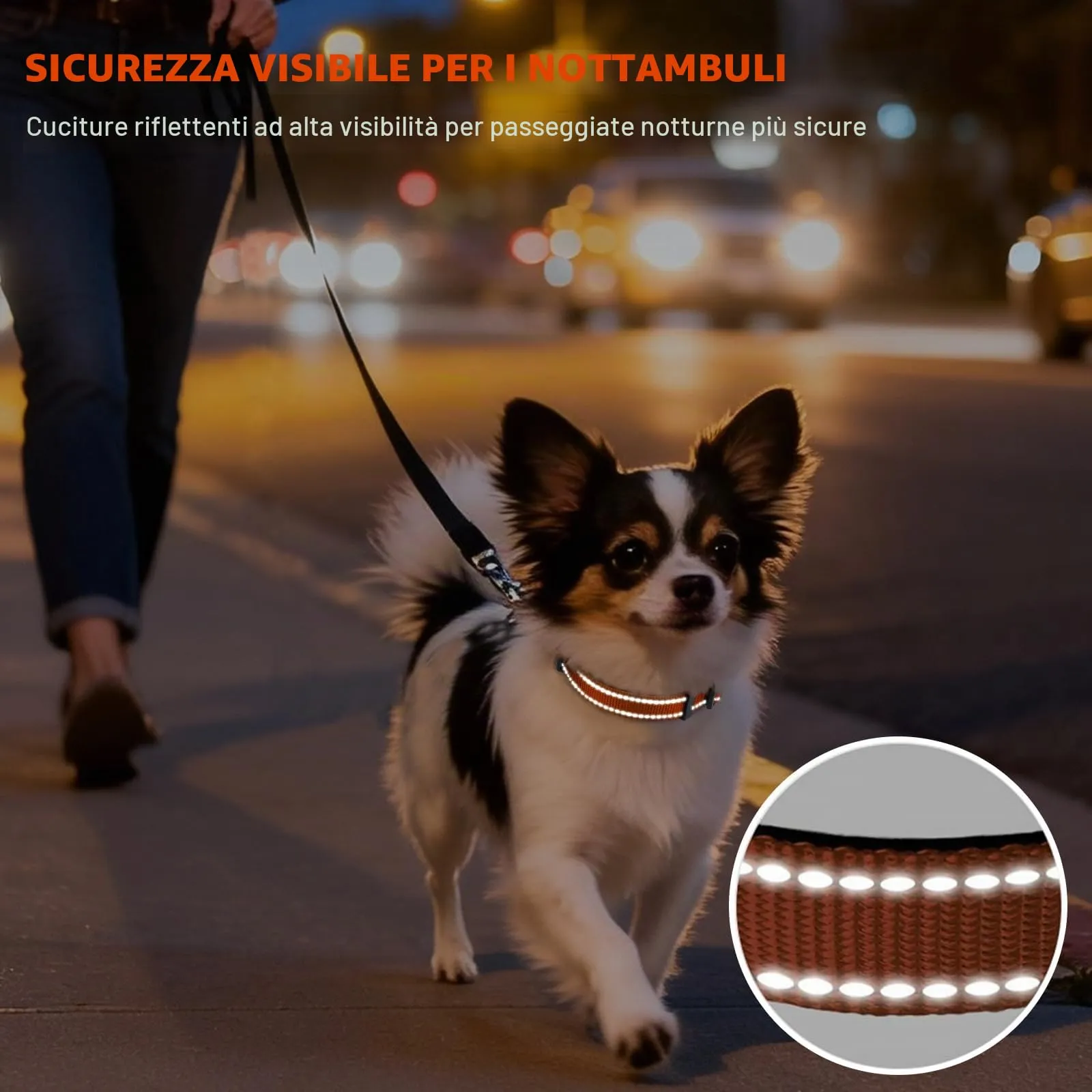 Taglory Collare per Cani in Nylon Imbottito, Regolabile e Riflettente, Arancione, XS - immagine 5
