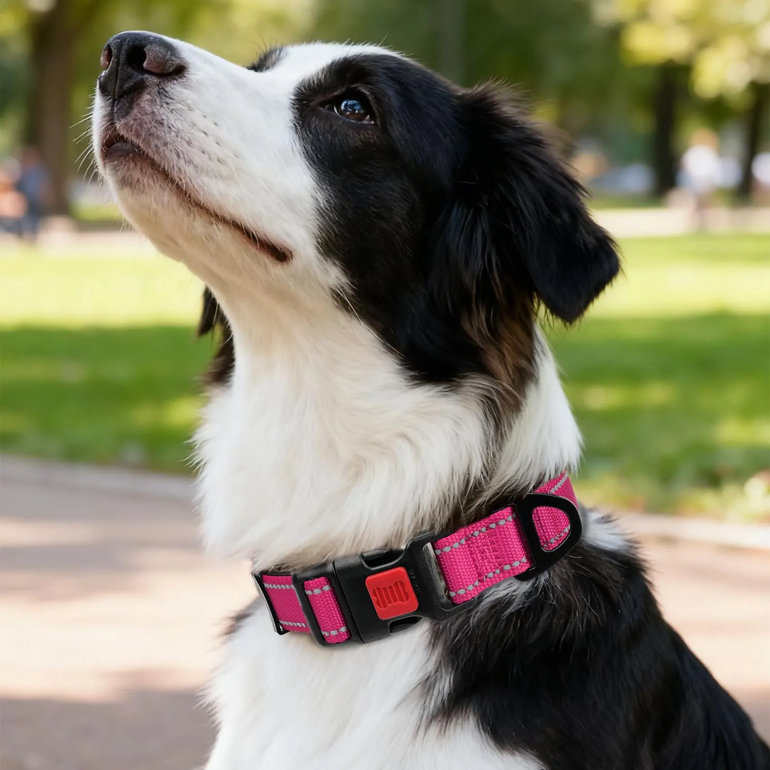 Taglory Collare per Cani in Nylon Imbottito Riflettente, Taglia Media, Rosa Caldo - immagine 2