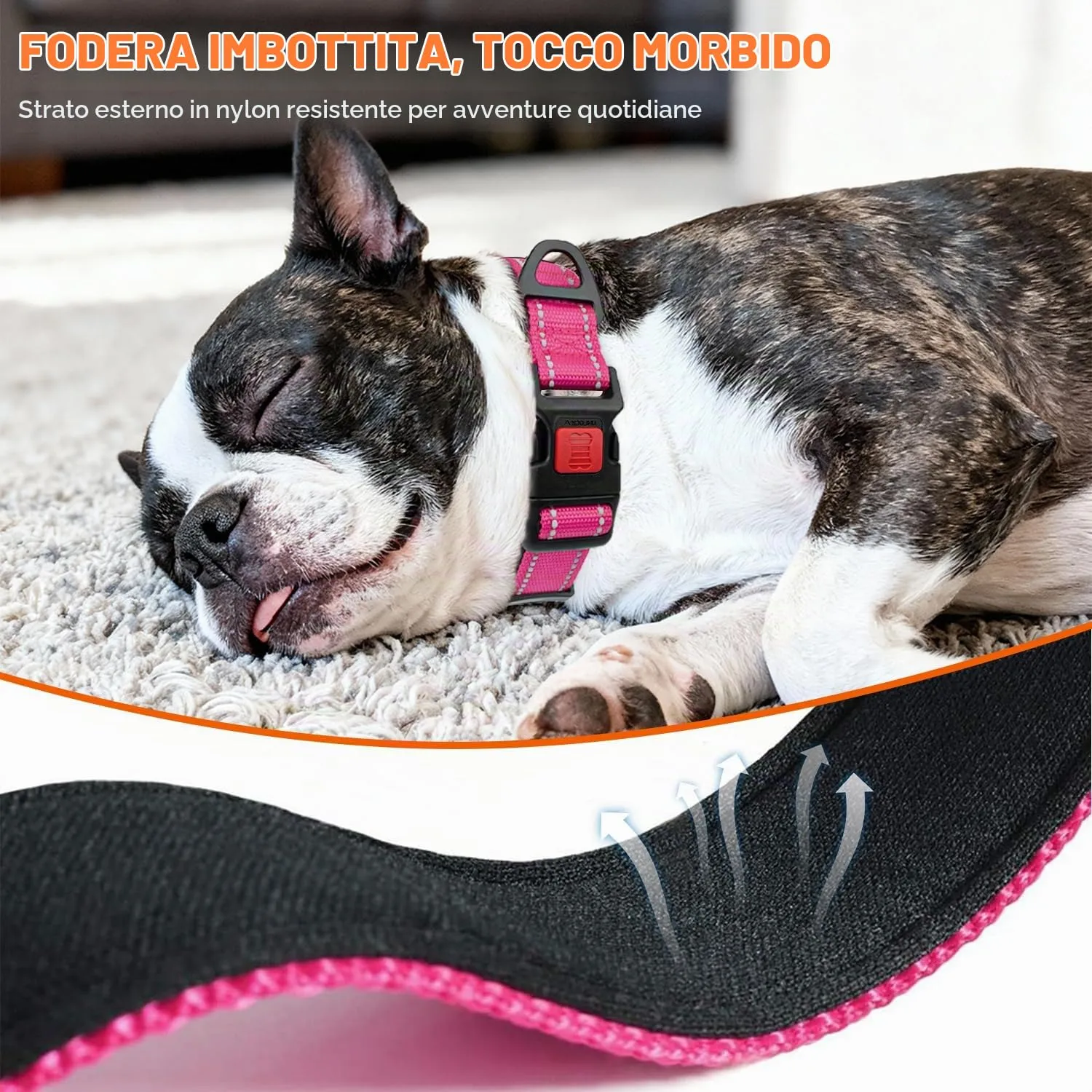 Taglory Collare per Cani in Nylon Imbottito Riflettente, Taglia Media, Rosa Caldo - immagine 4