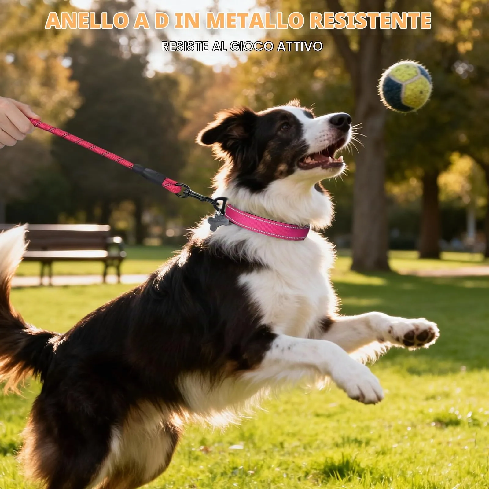 Taglory Collare per Cani in Nylon Imbottito Riflettente, Taglia Media, Rosa Caldo - immagine 6