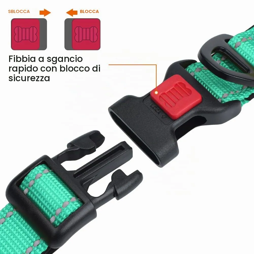 Taglory Collare per Cani in Nylon Imbottito, Regolabile e Riflettente, Taglia S, Turchese - immagine 3