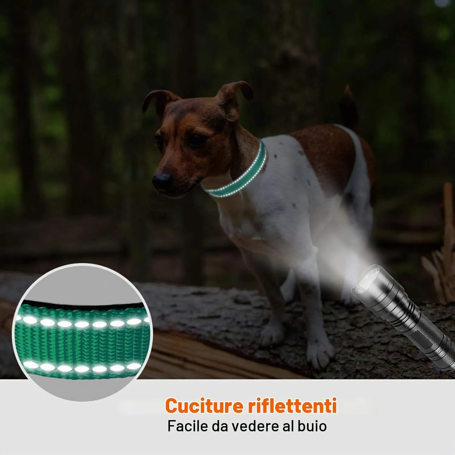 Taglory Collare per Cani in Nylon Imbottito, Regolabile e Riflettente, Taglia S, Turchese - immagine 5