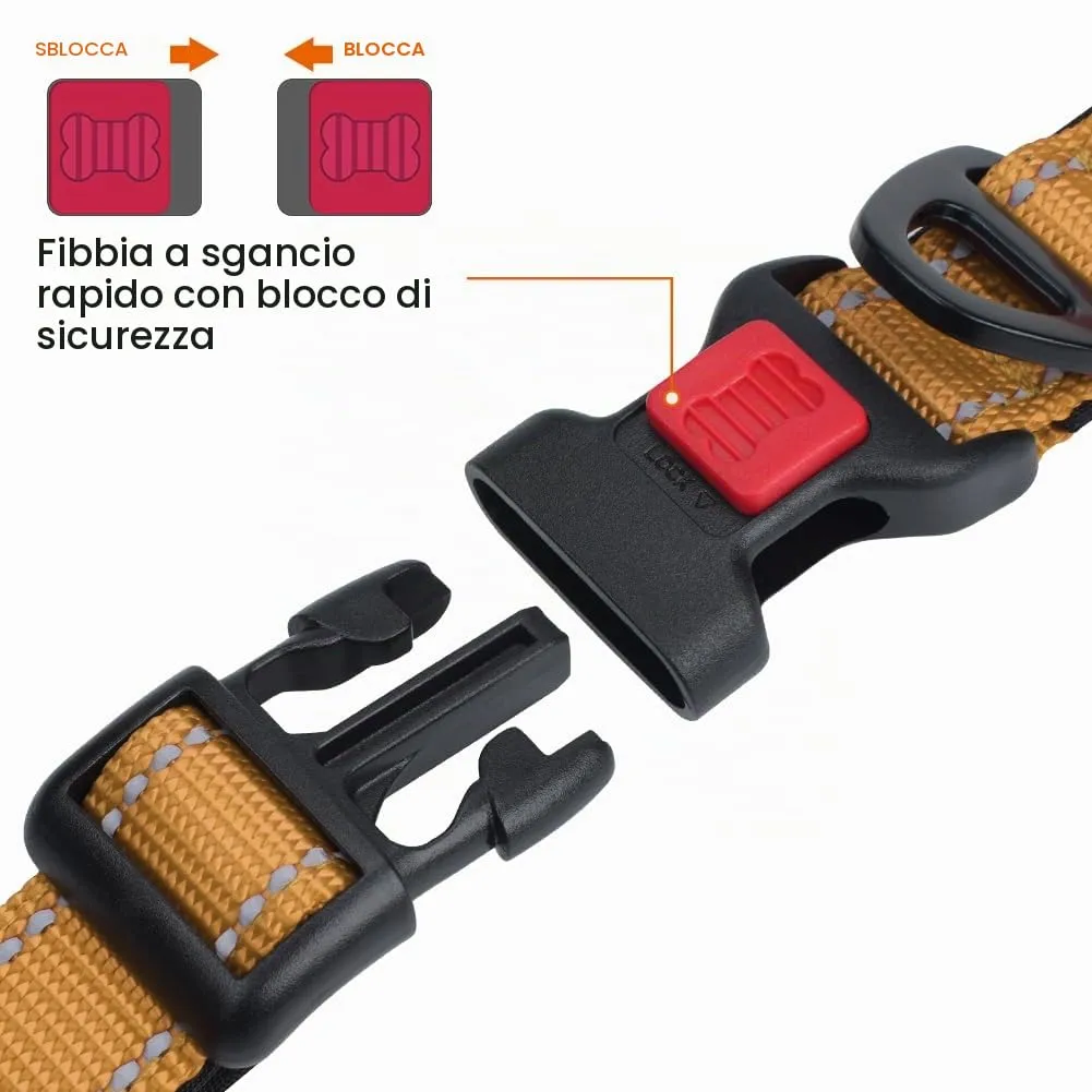 Taglory Collare per Cani in Nylon Imbottito Riflettente, Taglia S, Marrone - immagine 3