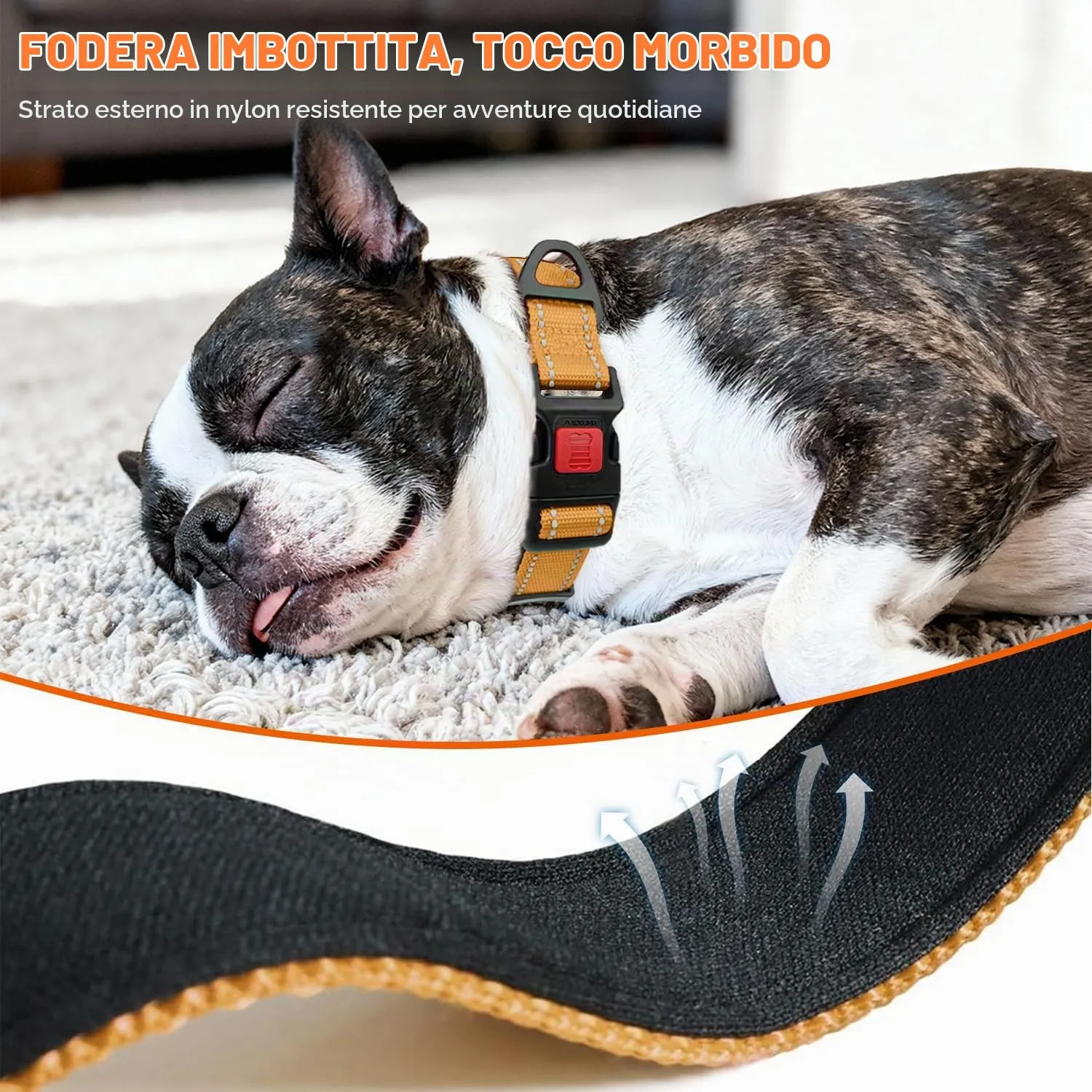 Taglory Collare per Cani in Nylon Imbottito Riflettente, Taglia S, Marrone - immagine 4