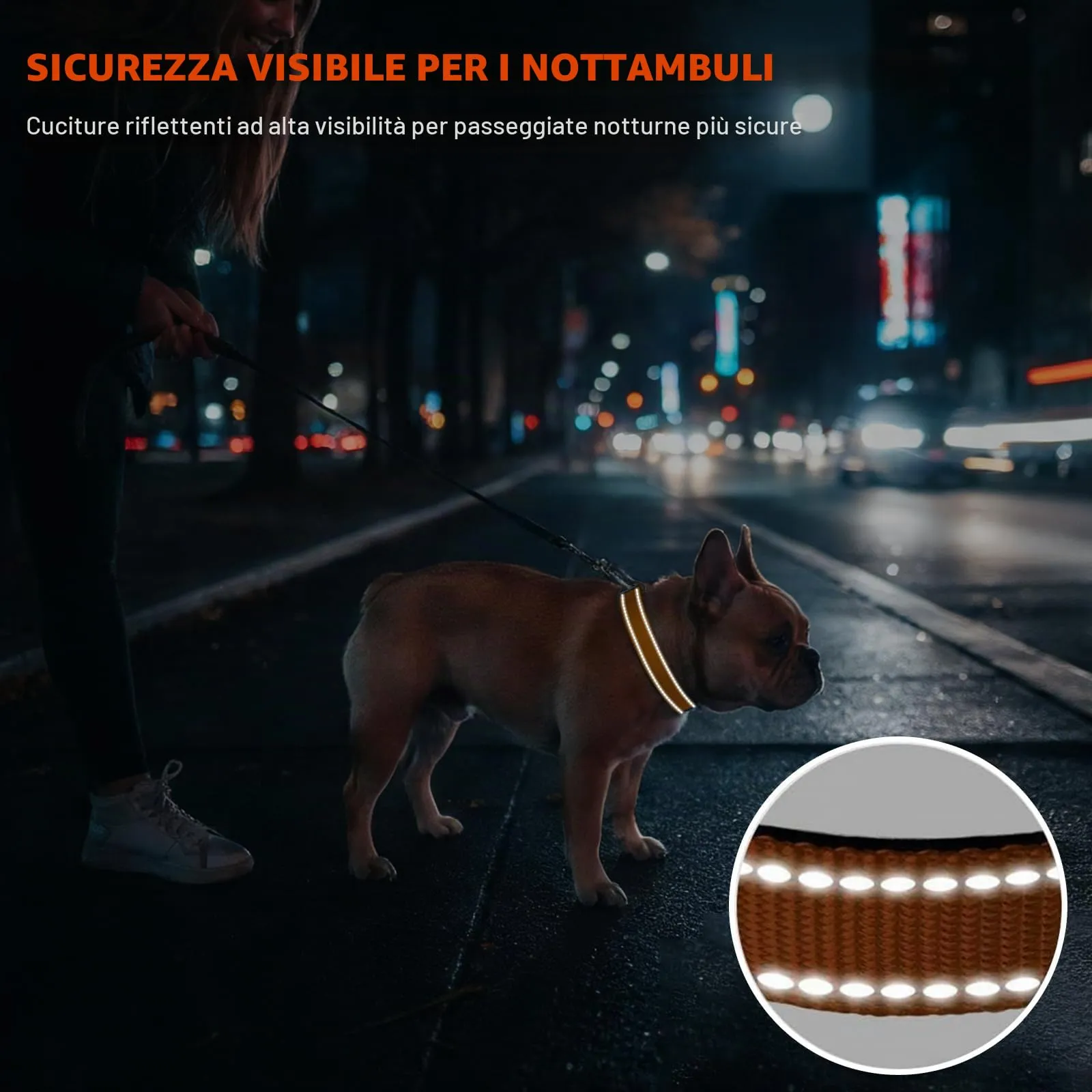Taglory Collare per Cani in Nylon Imbottito Riflettente, Taglia S, Marrone - immagine 5