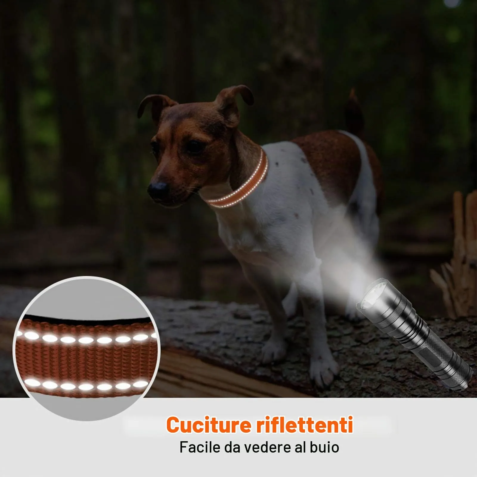 Taglory Collare per Cani in Nylon Imbottito, Regolabile e Riflettente, Taglia S, Arancione - immagine 5