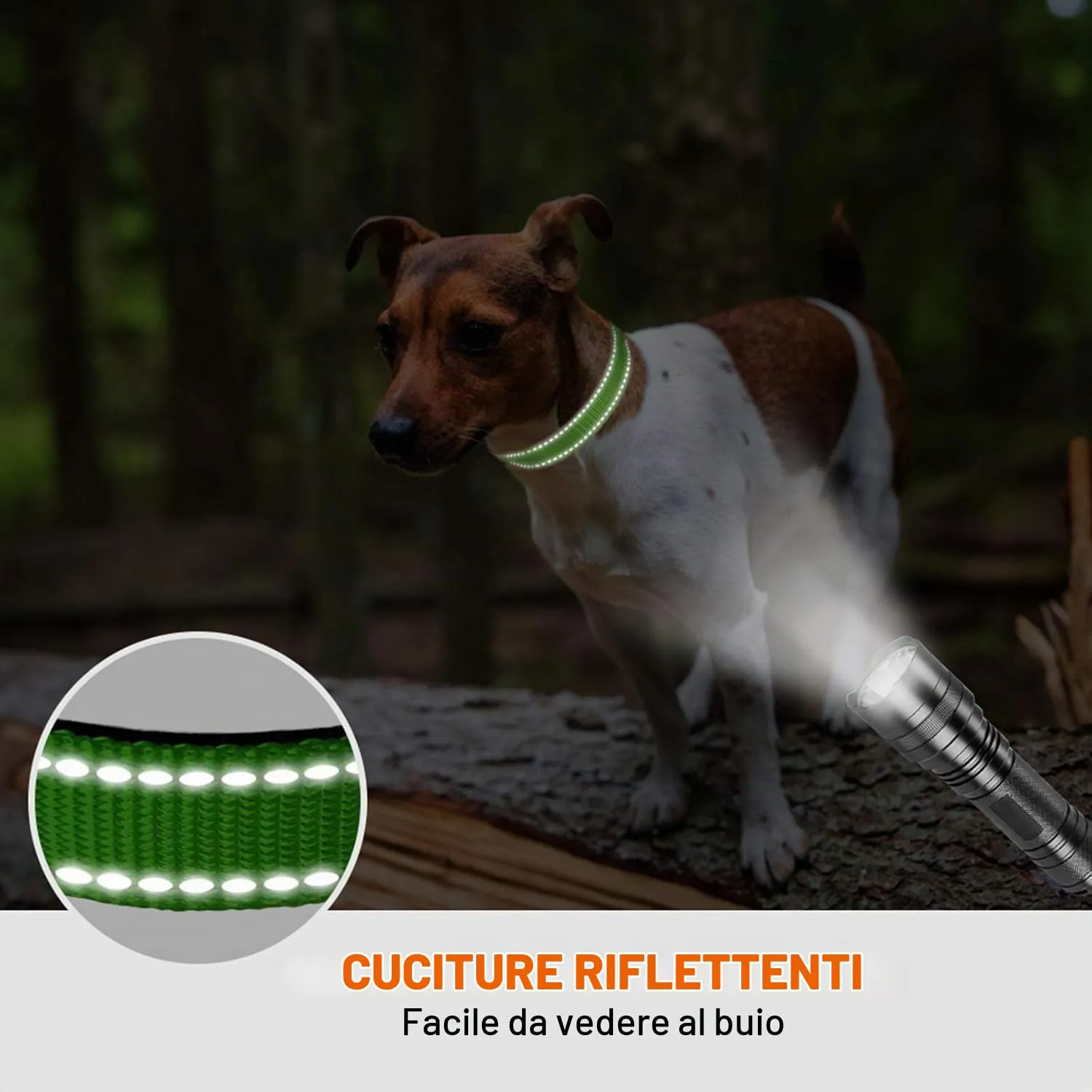 Taglory Collare per Cani in Nylon Imbottito Riflettente, Taglia Piccola, Verde - immagine 5
