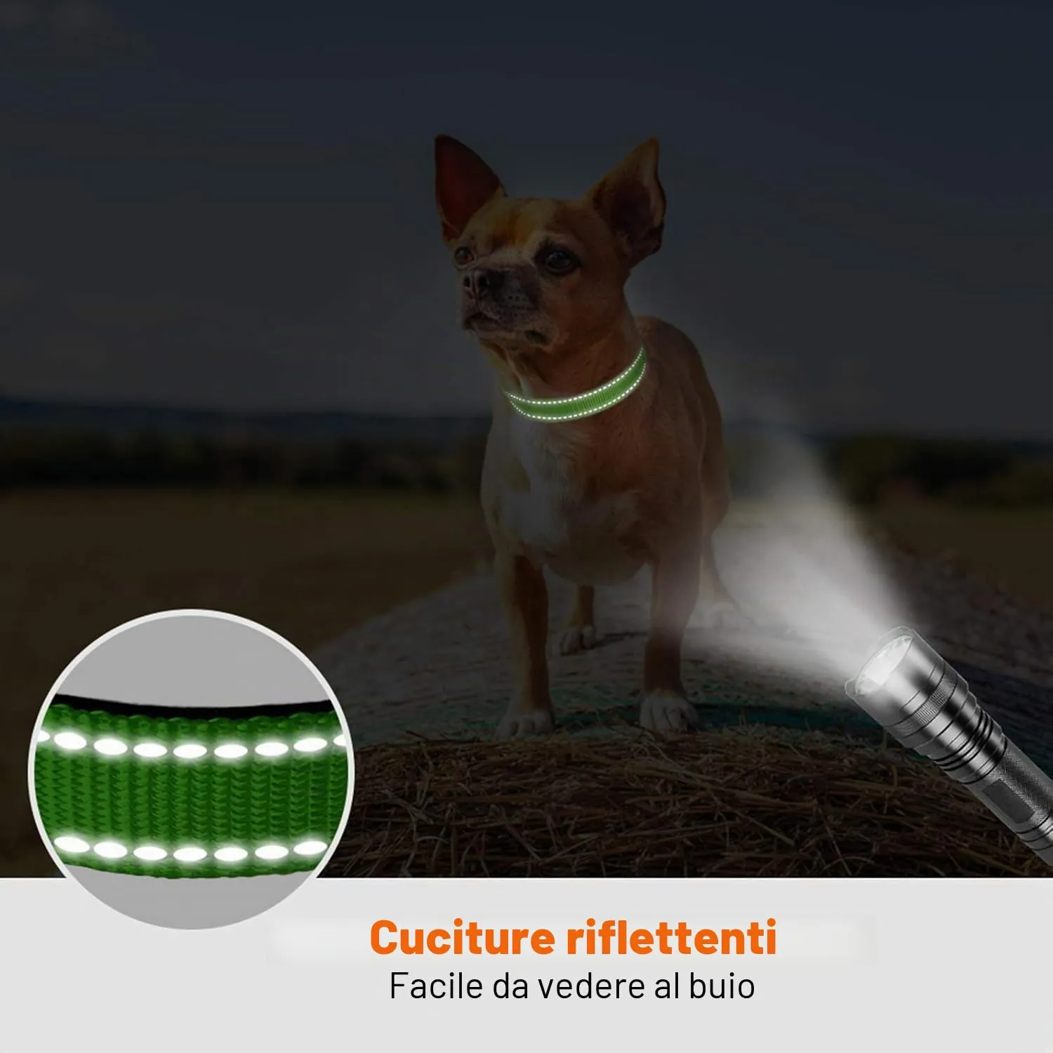 Taglory Collare per Cani in Nylon Imbottito, Riflettente e Regolabile, Verde, XS - immagine 5