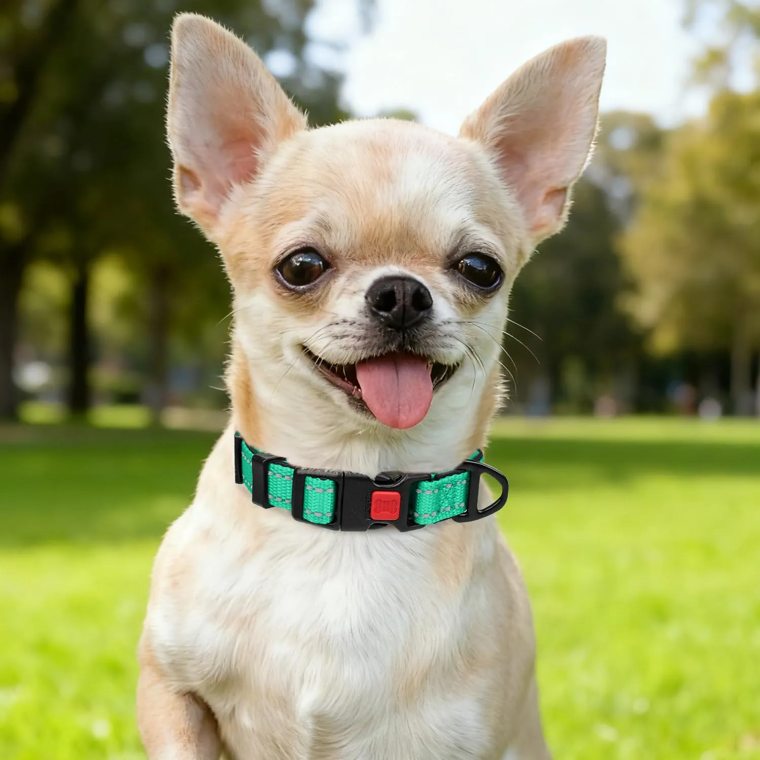 Taglory Collare per Cani in Nylon Imbottito Regolabile e Riflettente, Turchese, XS - immagine 2