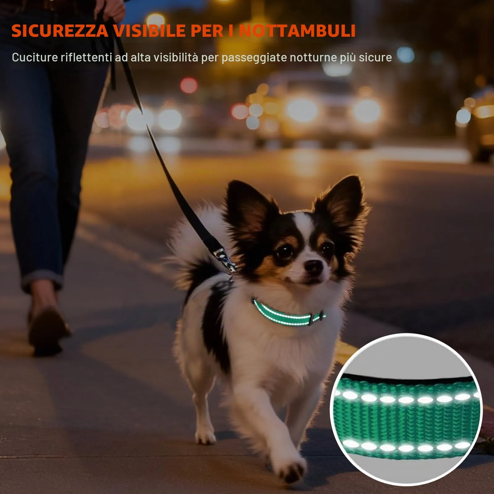 Taglory Collare per Cani in Nylon Imbottito Regolabile e Riflettente, Turchese, XS - immagine 5