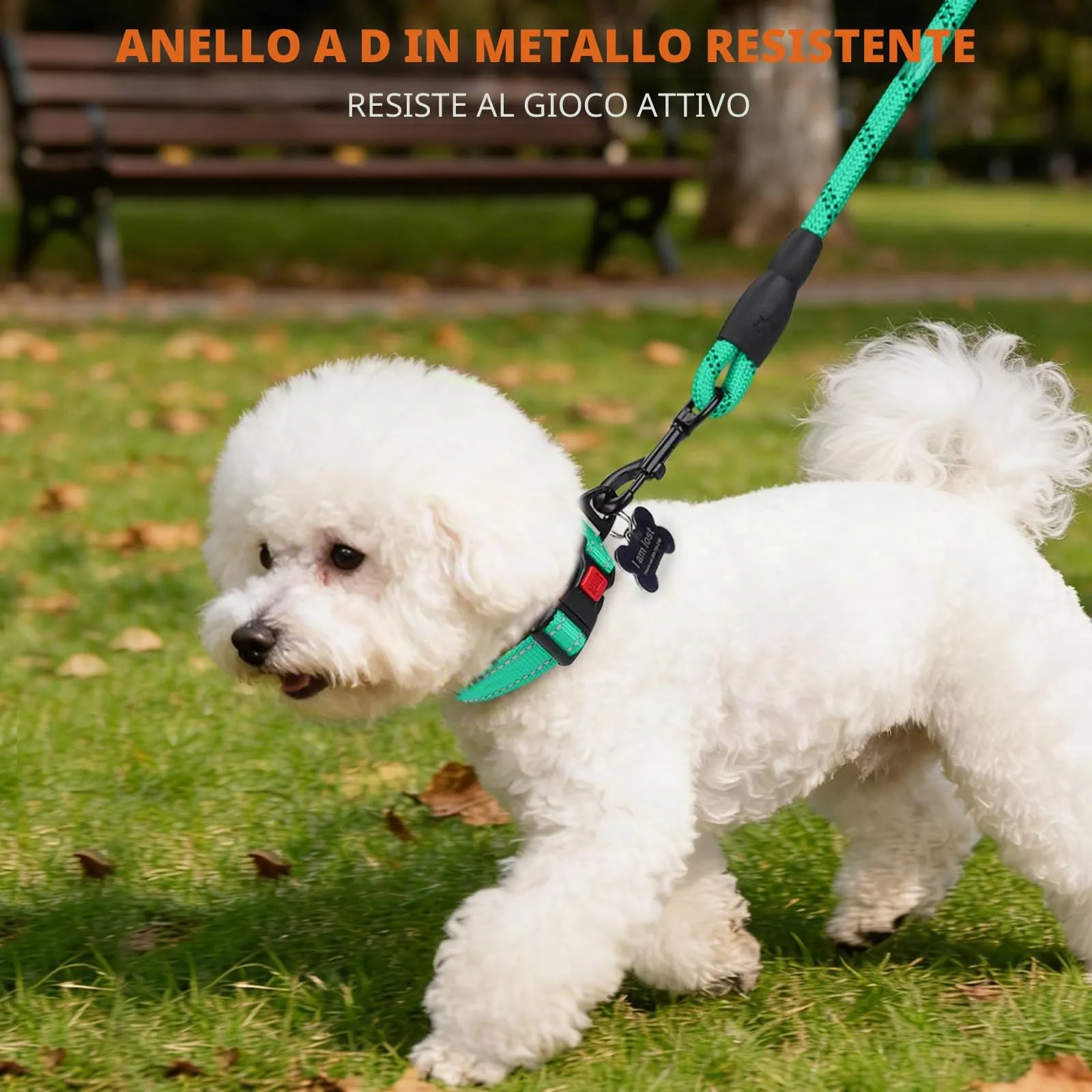 Taglory Collare per Cani in Nylon Imbottito Regolabile e Riflettente, Turchese, XS - immagine 6