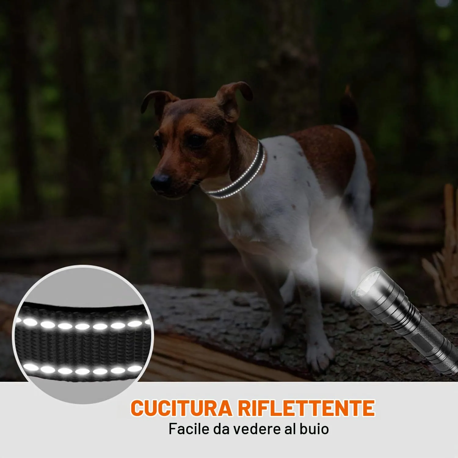 Taglory Collare per Cani in Nylon Imbottito, Regolabile e Riflettente, Nero, Taglia S - immagine 5