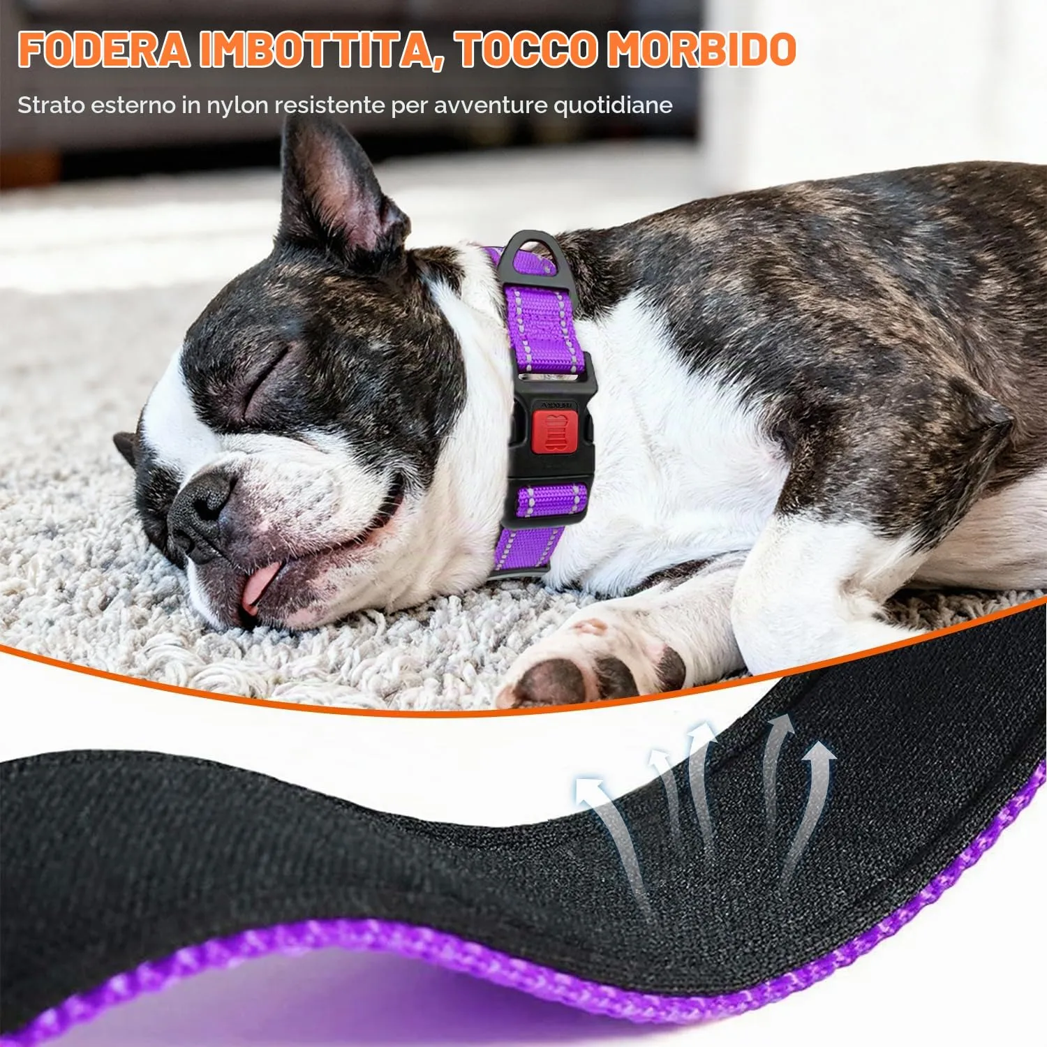 Taglory Collare per Cani in Nylon Imbottito, Riflettente e Regolabile, Taglia Media, Viola - immagine 4