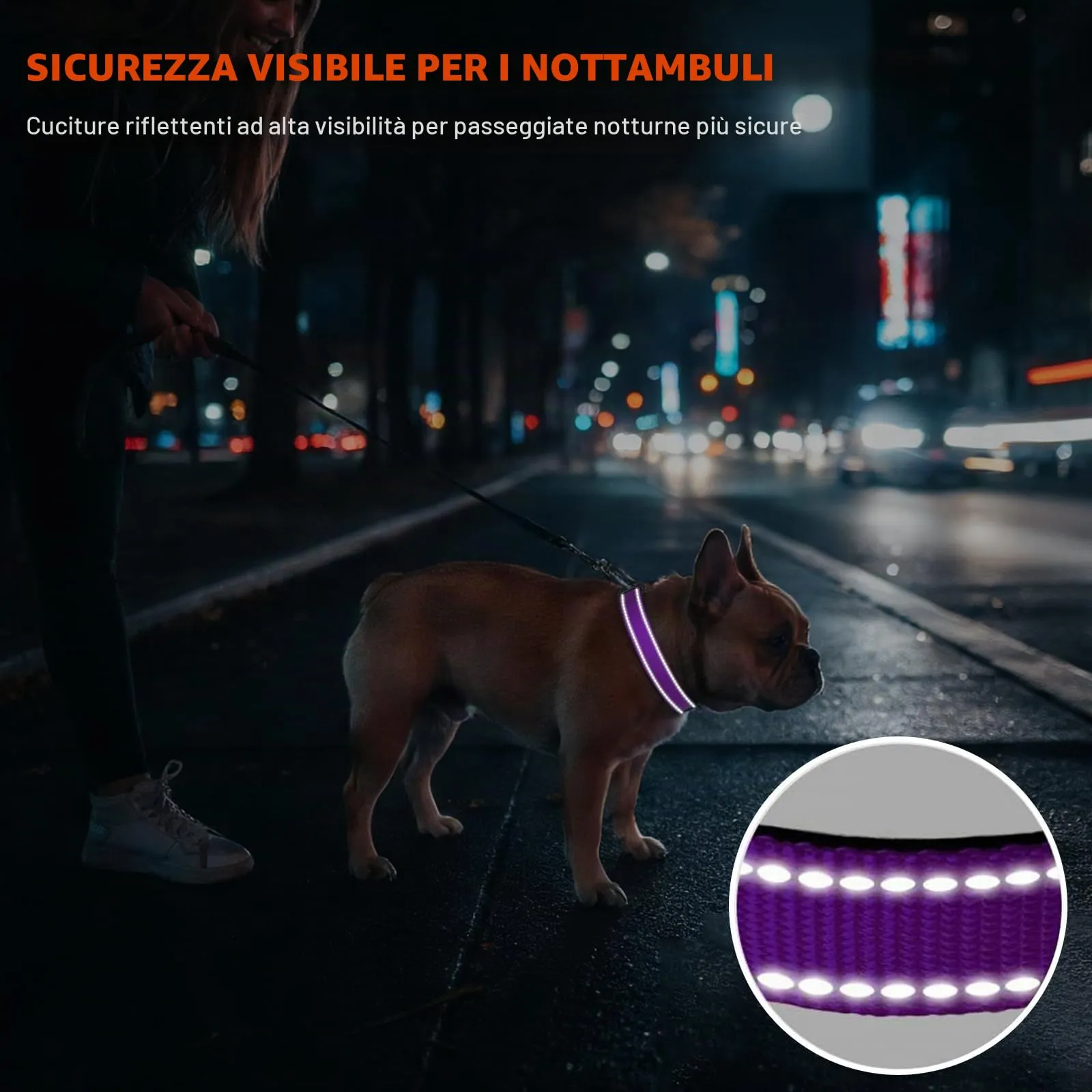 Taglory Collare per Cani in Nylon Imbottito, Riflettente e Regolabile, Taglia Media, Viola - immagine 5