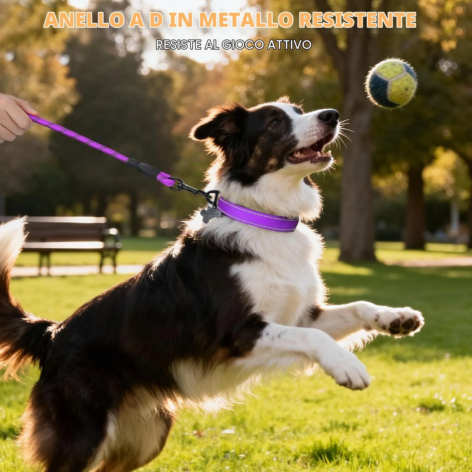 Taglory Collare per Cani in Nylon Imbottito, Riflettente e Regolabile, Taglia Media, Viola - immagine 6