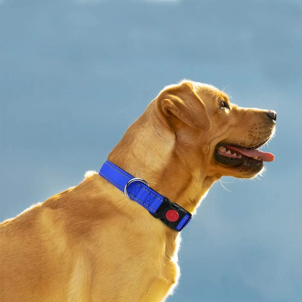 Taglory Collare per Cani in Nylon Imbottito, Regolabile e Riflettente, Taglia Media, Blu Scuro - immagine 2