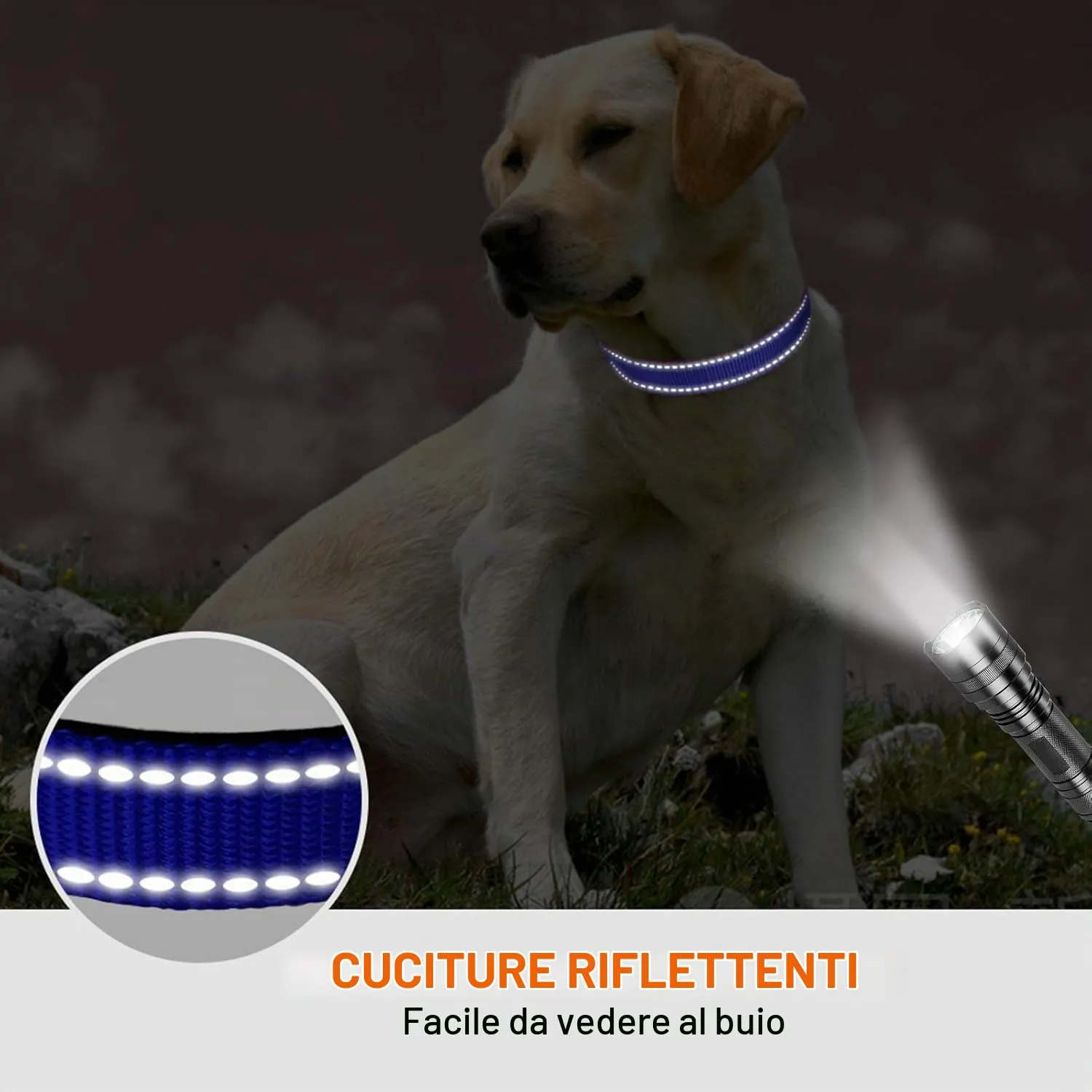 Taglory Collare per Cani in Nylon Imbottito, Regolabile e Riflettente, Taglia Media, Blu Scuro - immagine 5