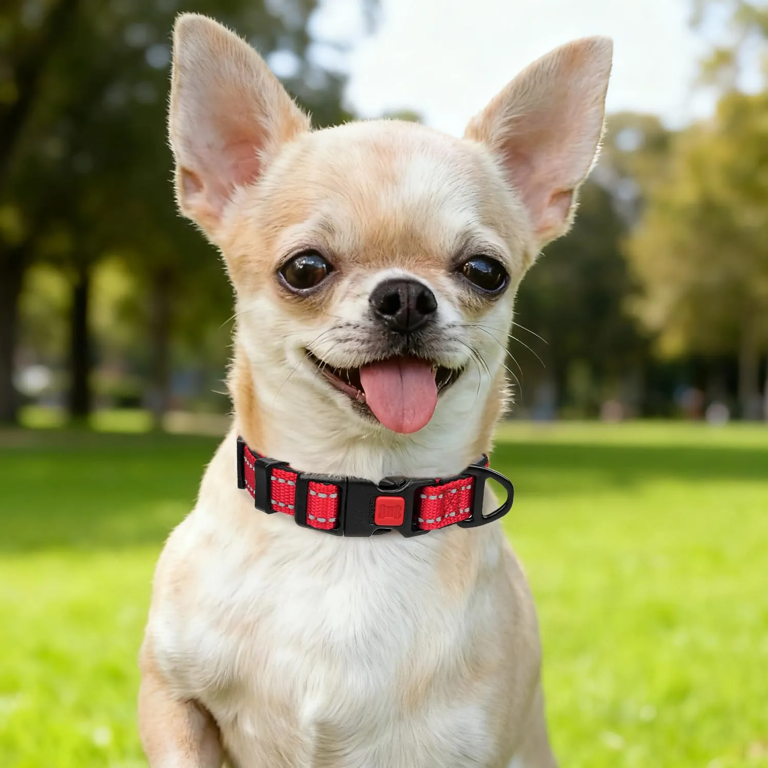 Taglory Collare per Cani in Nylon Imbottito, Regolabile, Traspirante e Riflettente, Rosso, XS - immagine 2