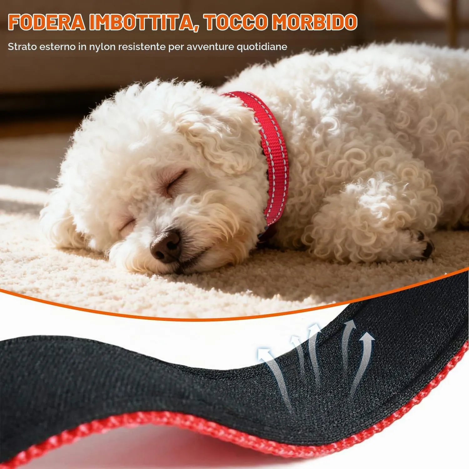 Taglory Collare per Cani in Nylon Imbottito, Regolabile, Traspirante e Riflettente, Rosso, XS - immagine 4