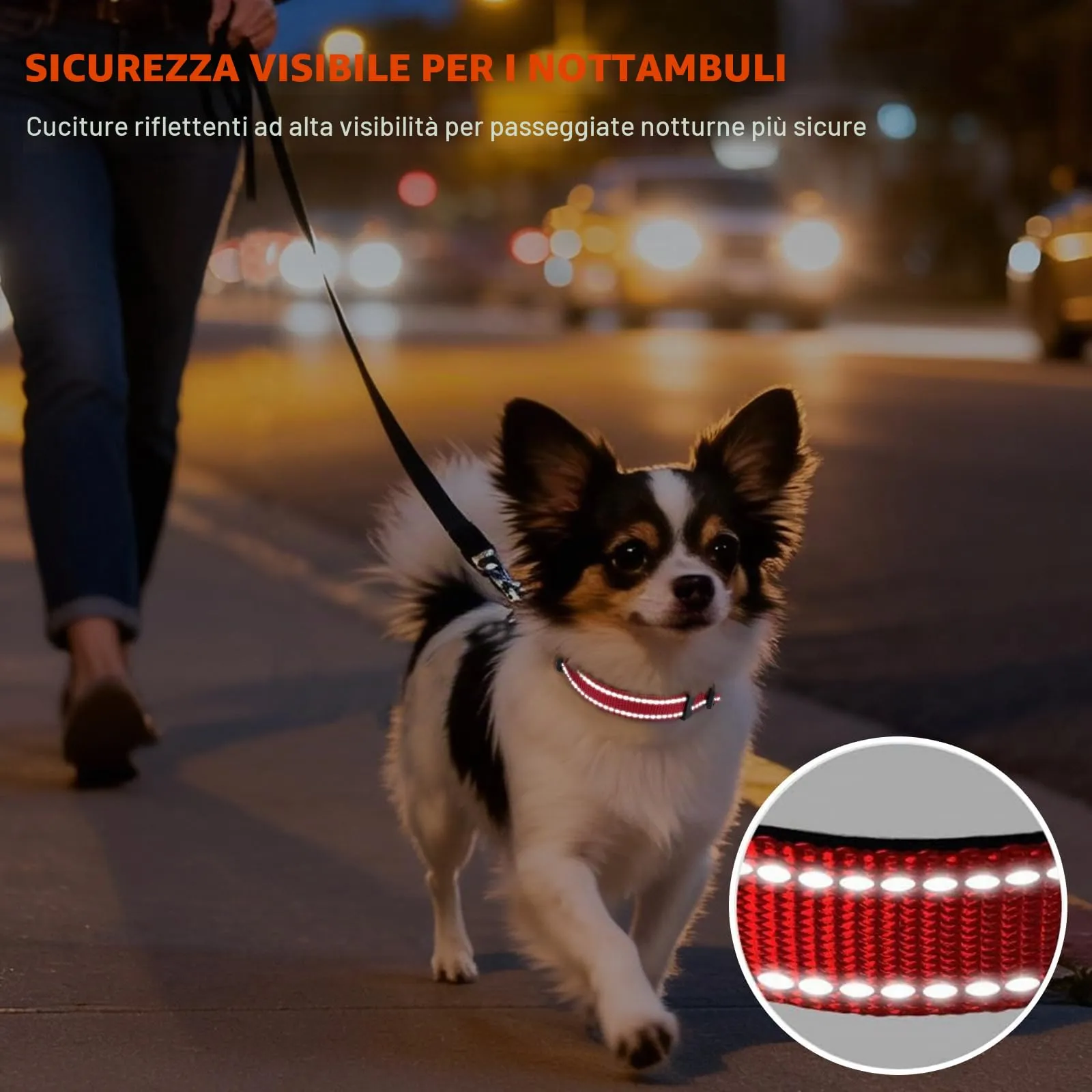 Taglory Collare per Cani in Nylon Imbottito, Regolabile, Traspirante e Riflettente, Rosso, XS - immagine 5