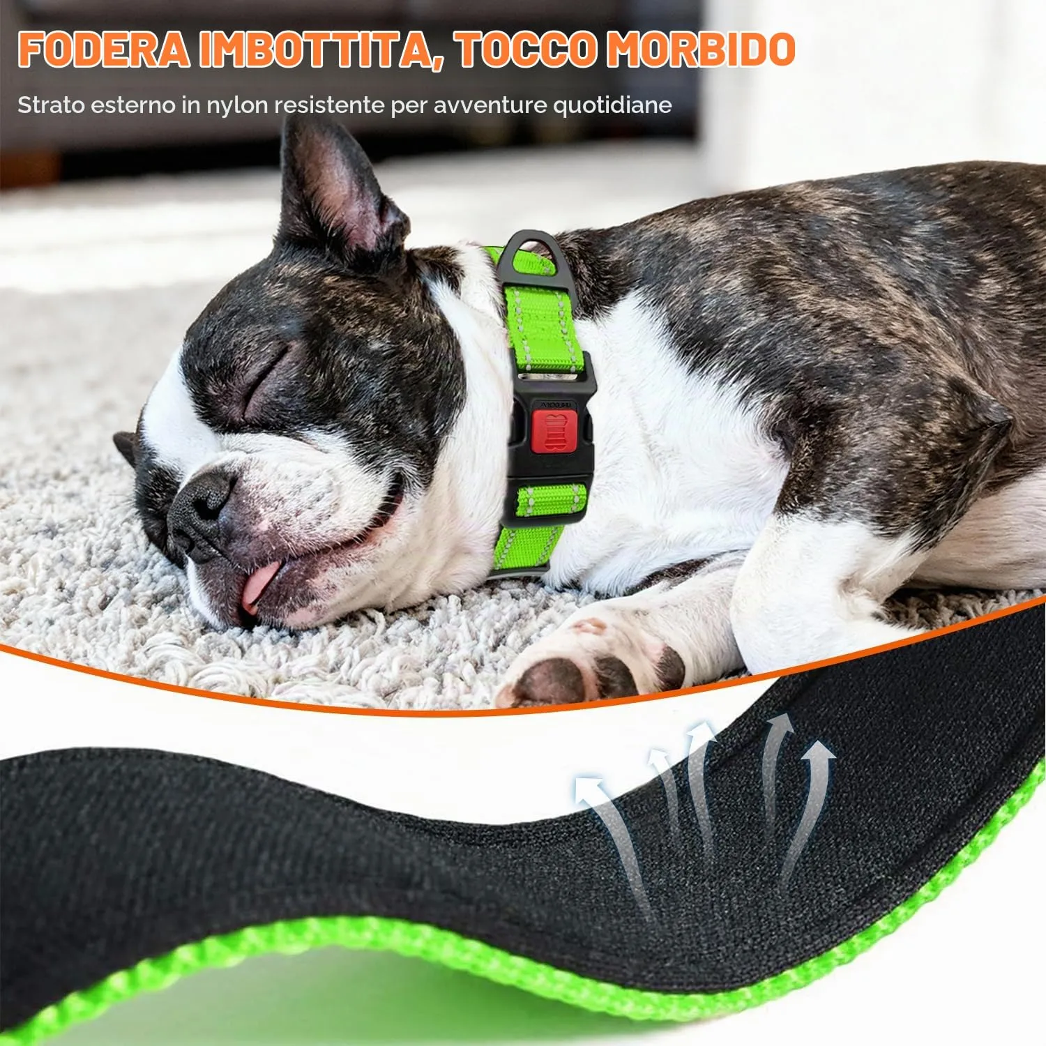 Taglory Collare per Cani in Nylon Imbottito, Riflettente e Regolabile, Taglia M, Verde - immagine 4