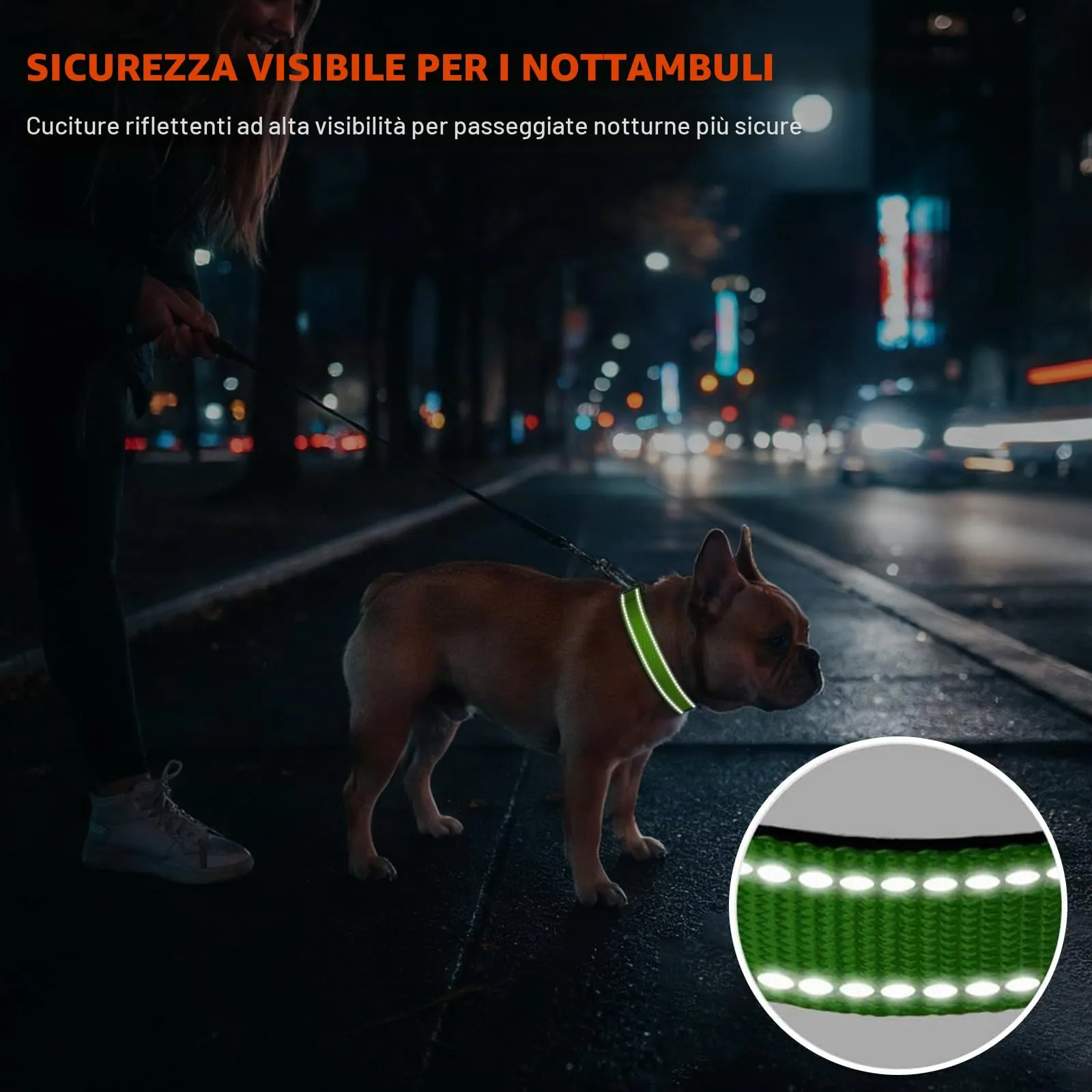 Taglory Collare per Cani in Nylon Imbottito, Riflettente e Regolabile, Taglia M, Verde - immagine 5
