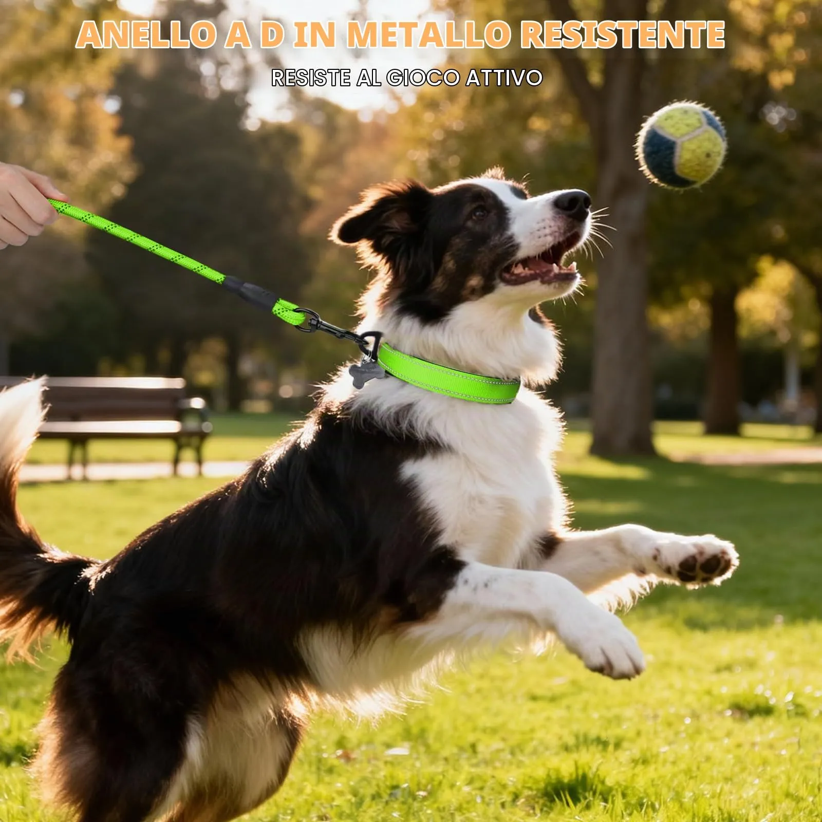 Taglory Collare per Cani in Nylon Imbottito, Riflettente e Regolabile, Taglia M, Verde - immagine 6