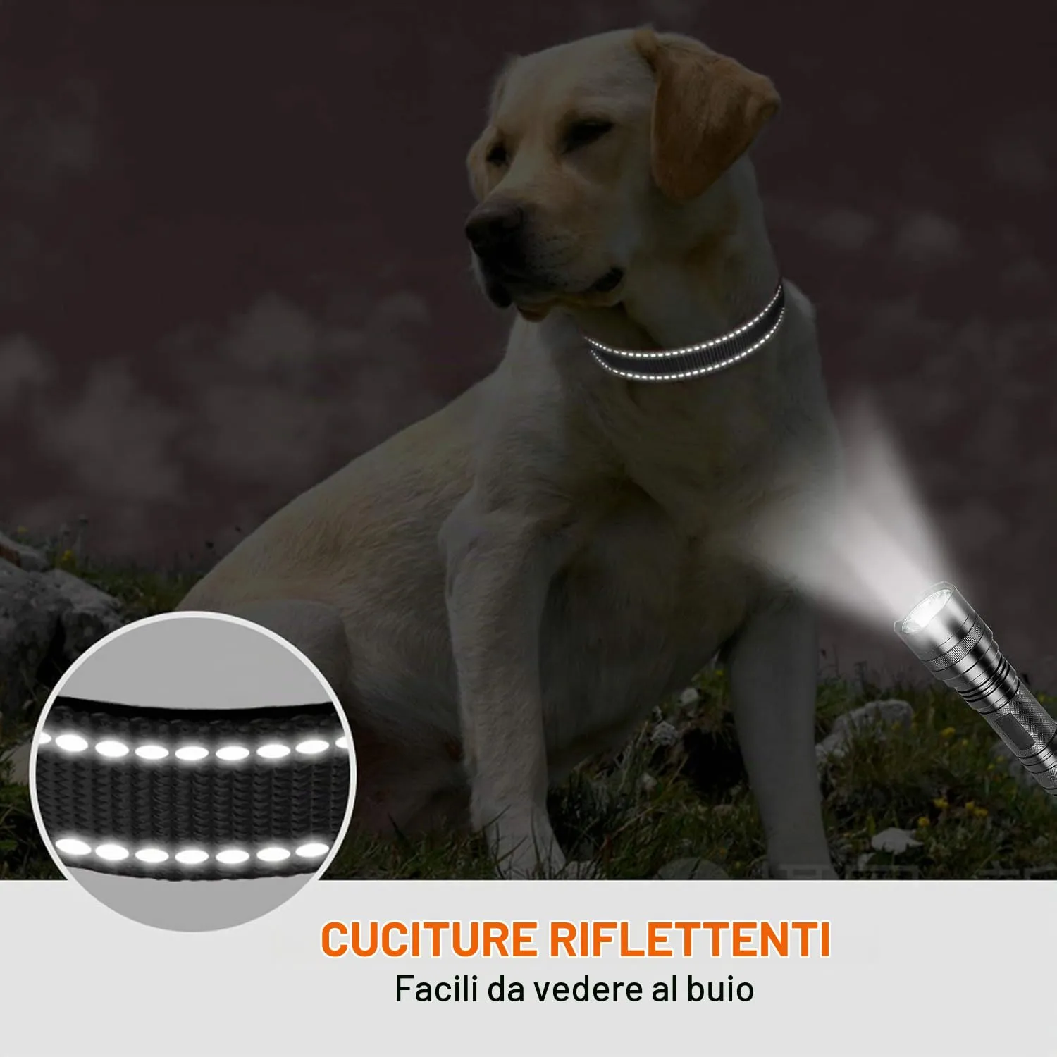 Taglory Collare per Cani in Nylon Imbottito, Regolabile e Riflettente, Taglia Media, Nero - immagine 5