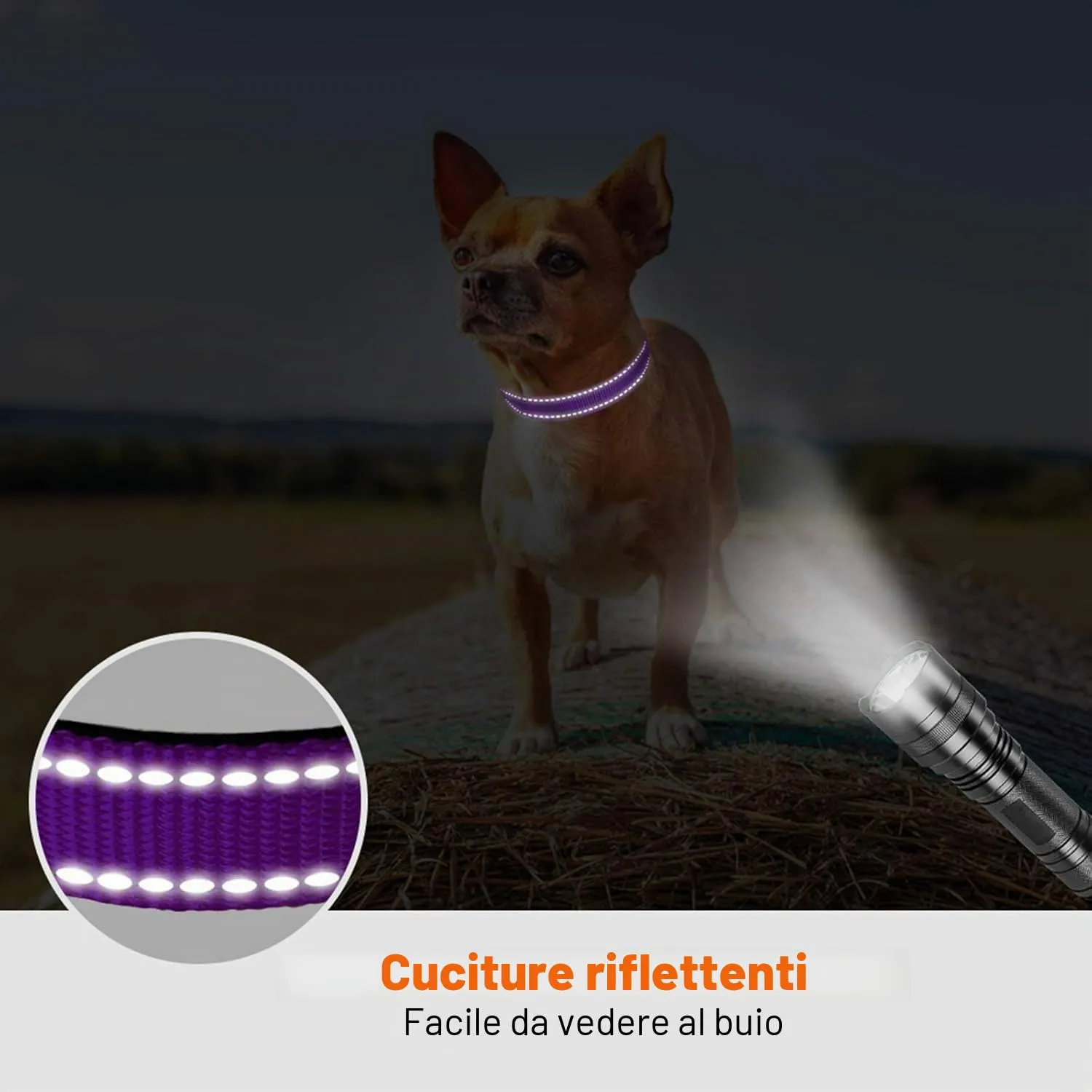 Taglory Collare per Cani in Nylon Imbottito, Regolabile e Riflettente, Viola, XS - immagine 5
