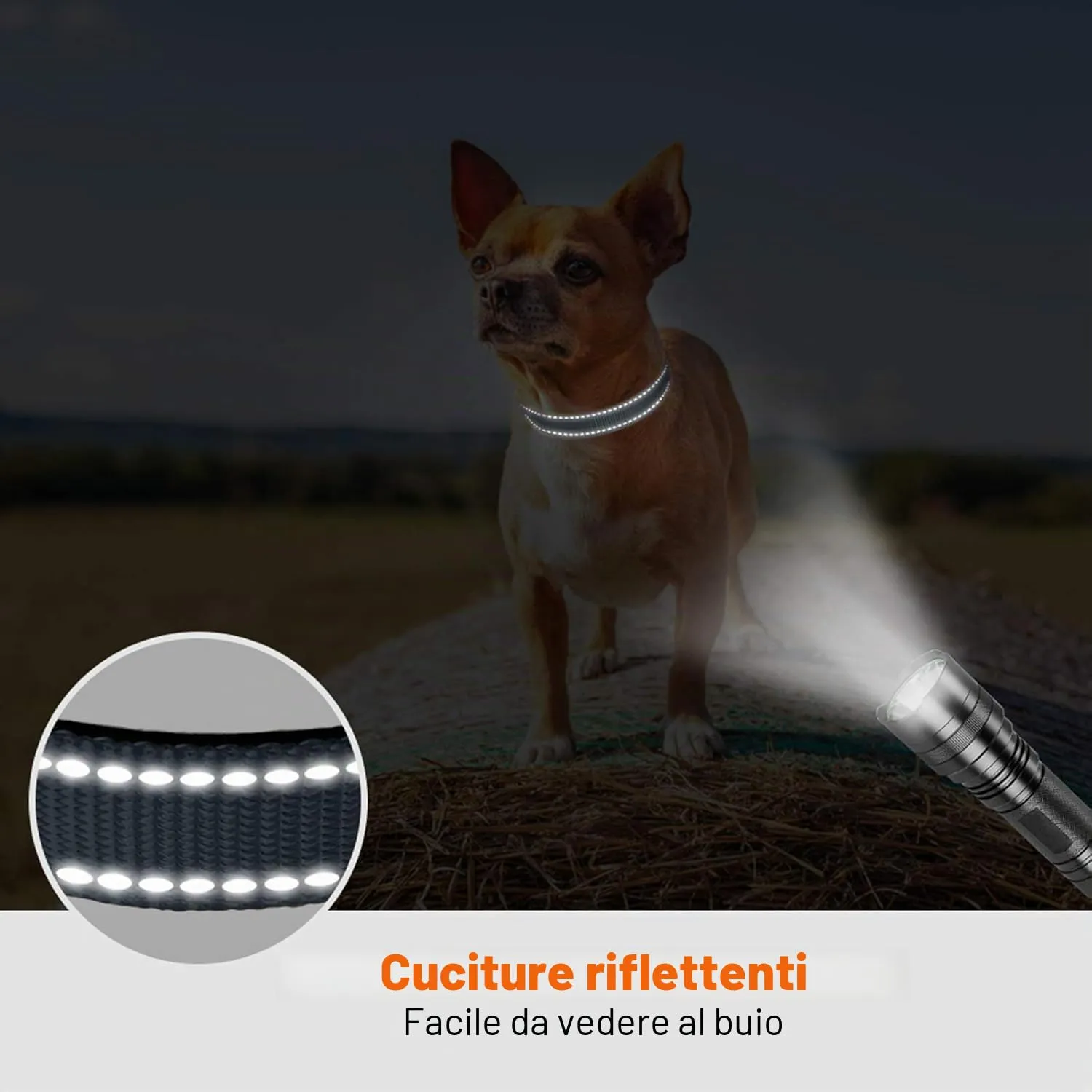 Taglory Collare per Cani in Nylon Imbottito Regolabile e Riflettente, Grigio, XS - immagine 5