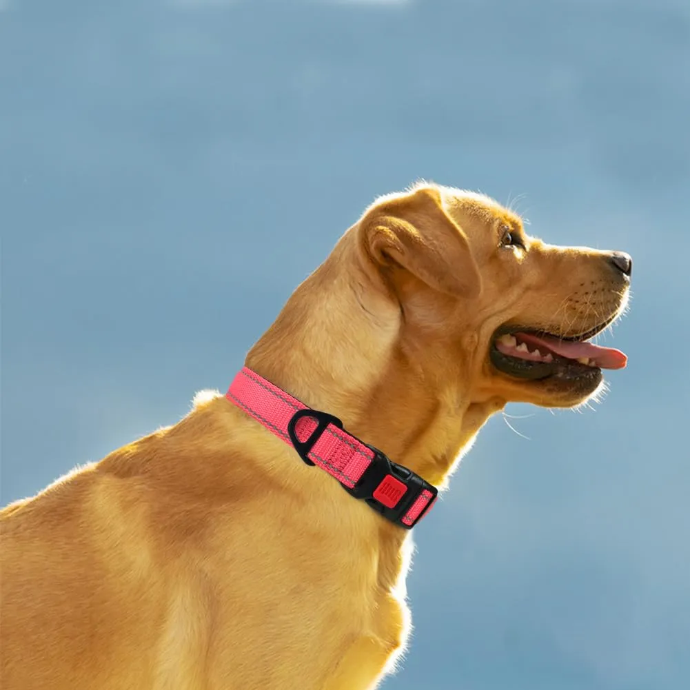 Taglory Collare per Cani in Nylon Imbottito Regolabile e Riflettente, Taglia Media, Rosa - immagine 2