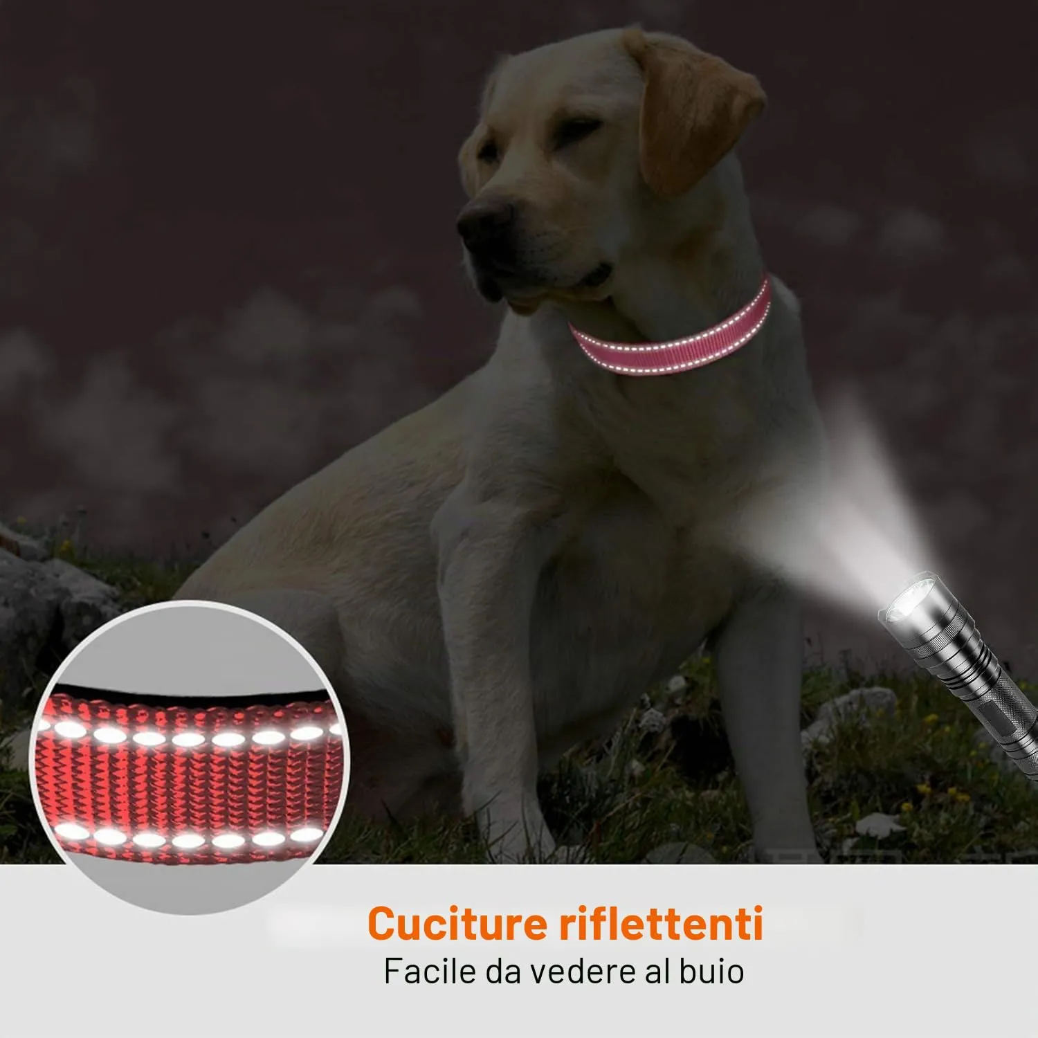Taglory Collare per Cani in Nylon Imbottito Regolabile e Riflettente, Taglia Media, Rosa - immagine 5
