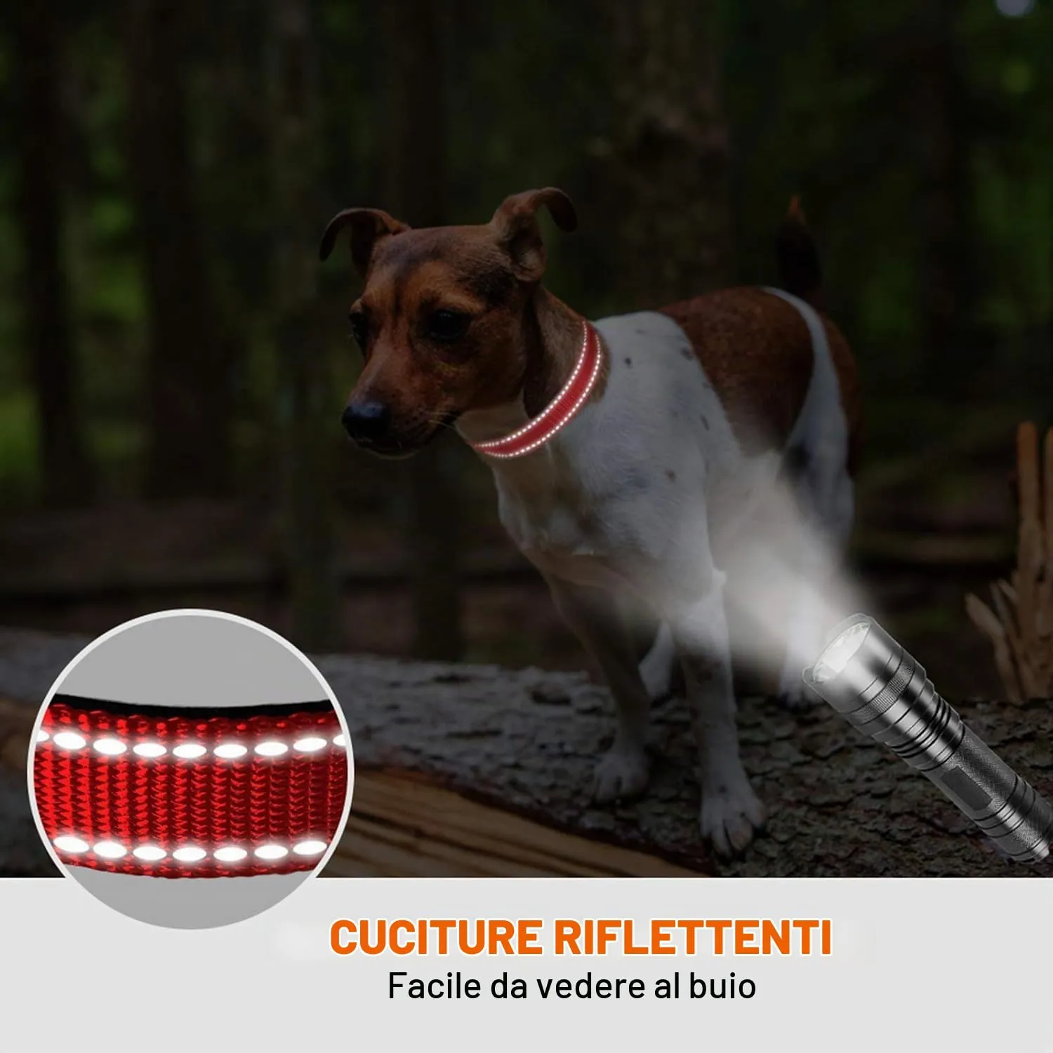 Taglory Collare per Cani in Nylon Imbottito, Regolabile e Riflettente, Taglia S, Rosso - immagine 5