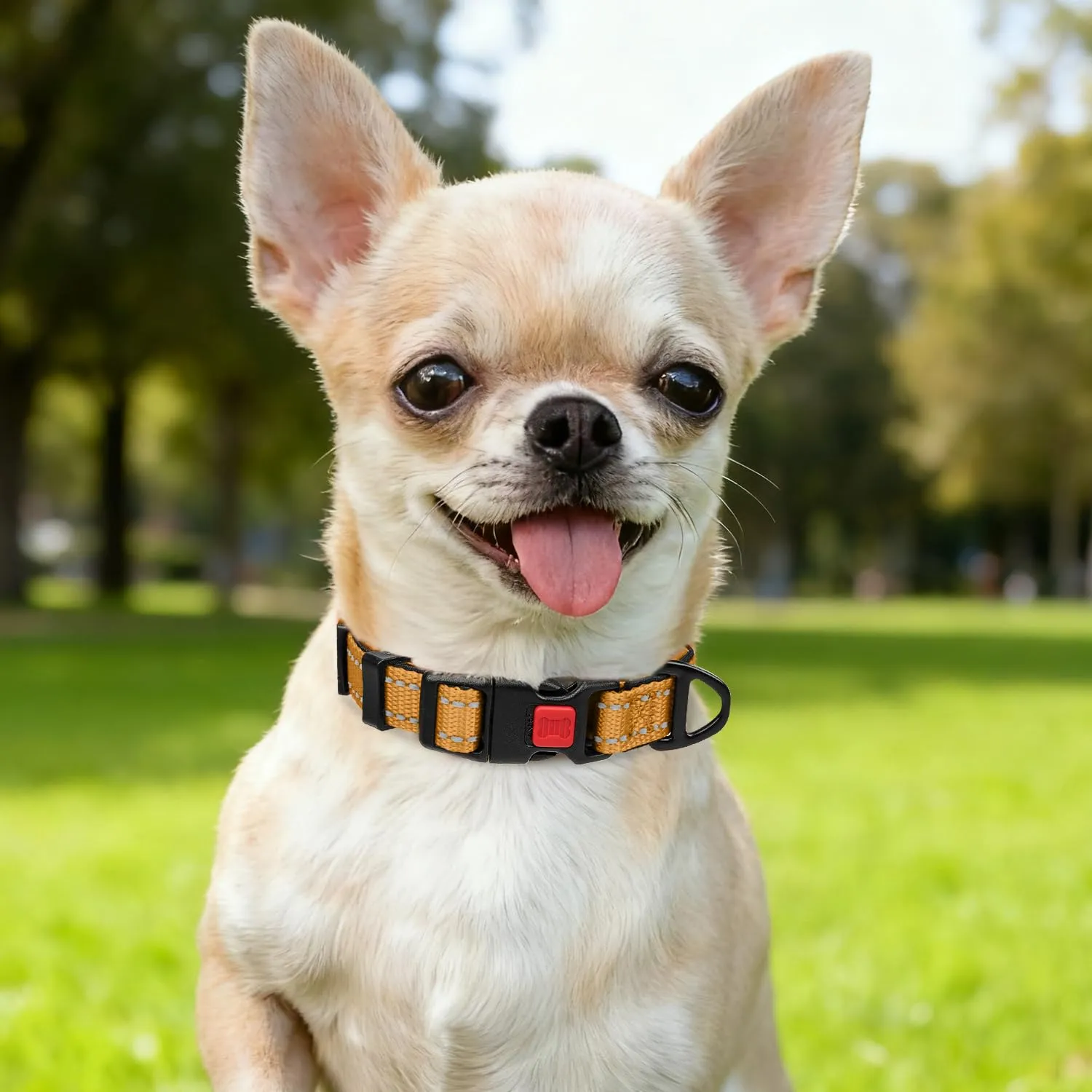 Taglory Collare per Cani in Nylon Imbottito, Regolabile e Riflettente, Marrone, XS - immagine 2
