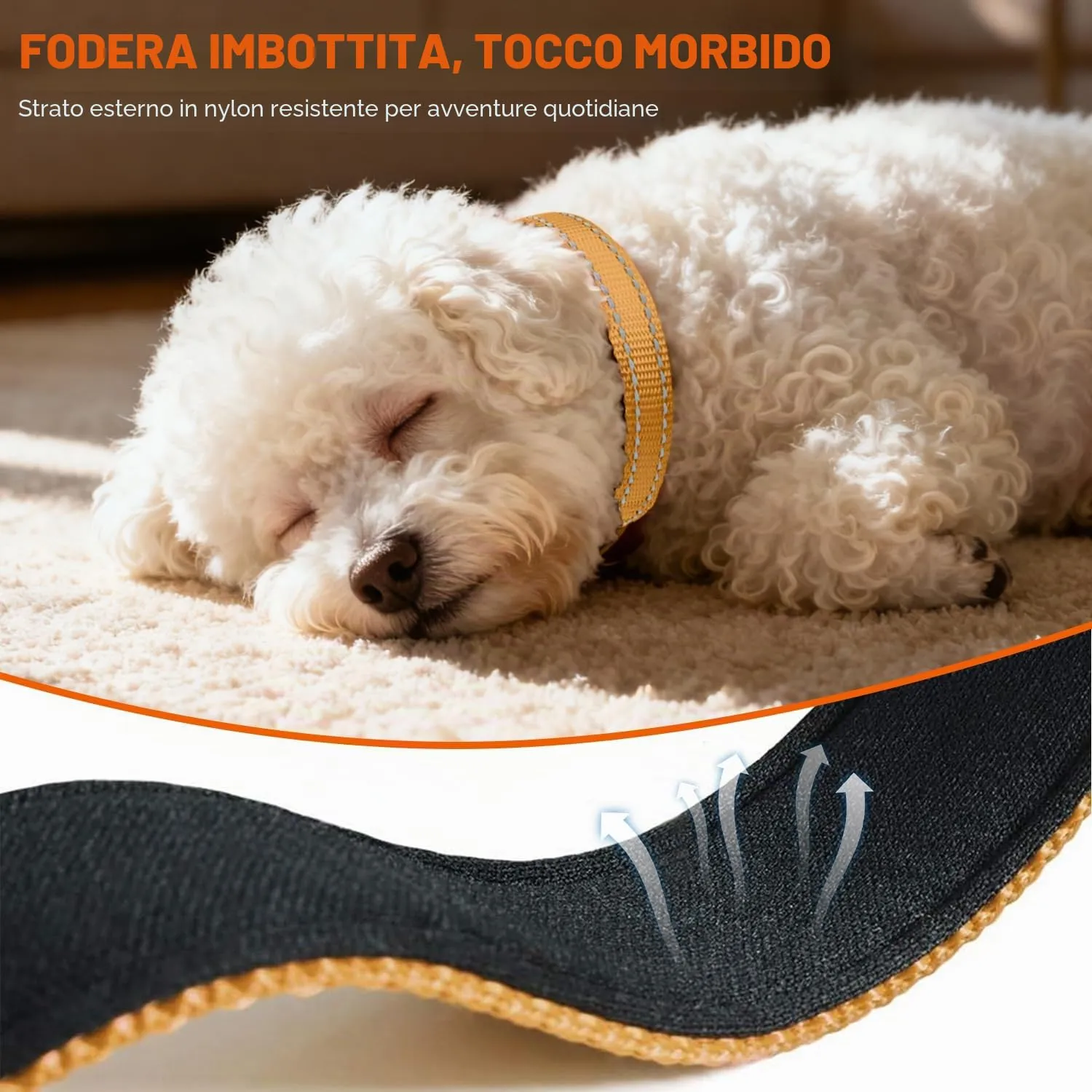Taglory Collare per Cani in Nylon Imbottito, Regolabile e Riflettente, Marrone, XS - immagine 4