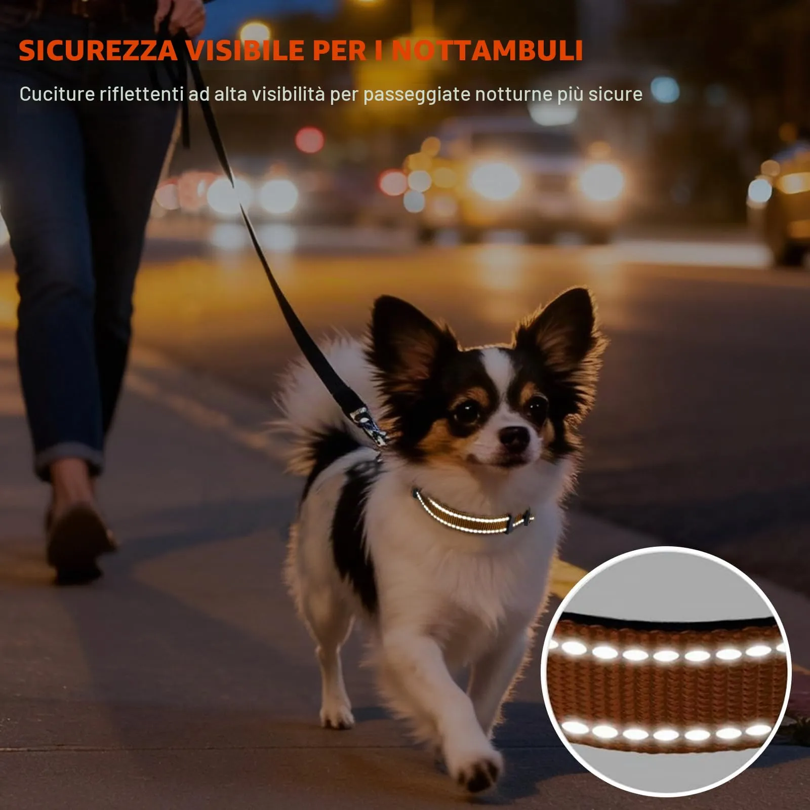 Taglory Collare per Cani in Nylon Imbottito, Regolabile e Riflettente, Marrone, XS - immagine 5
