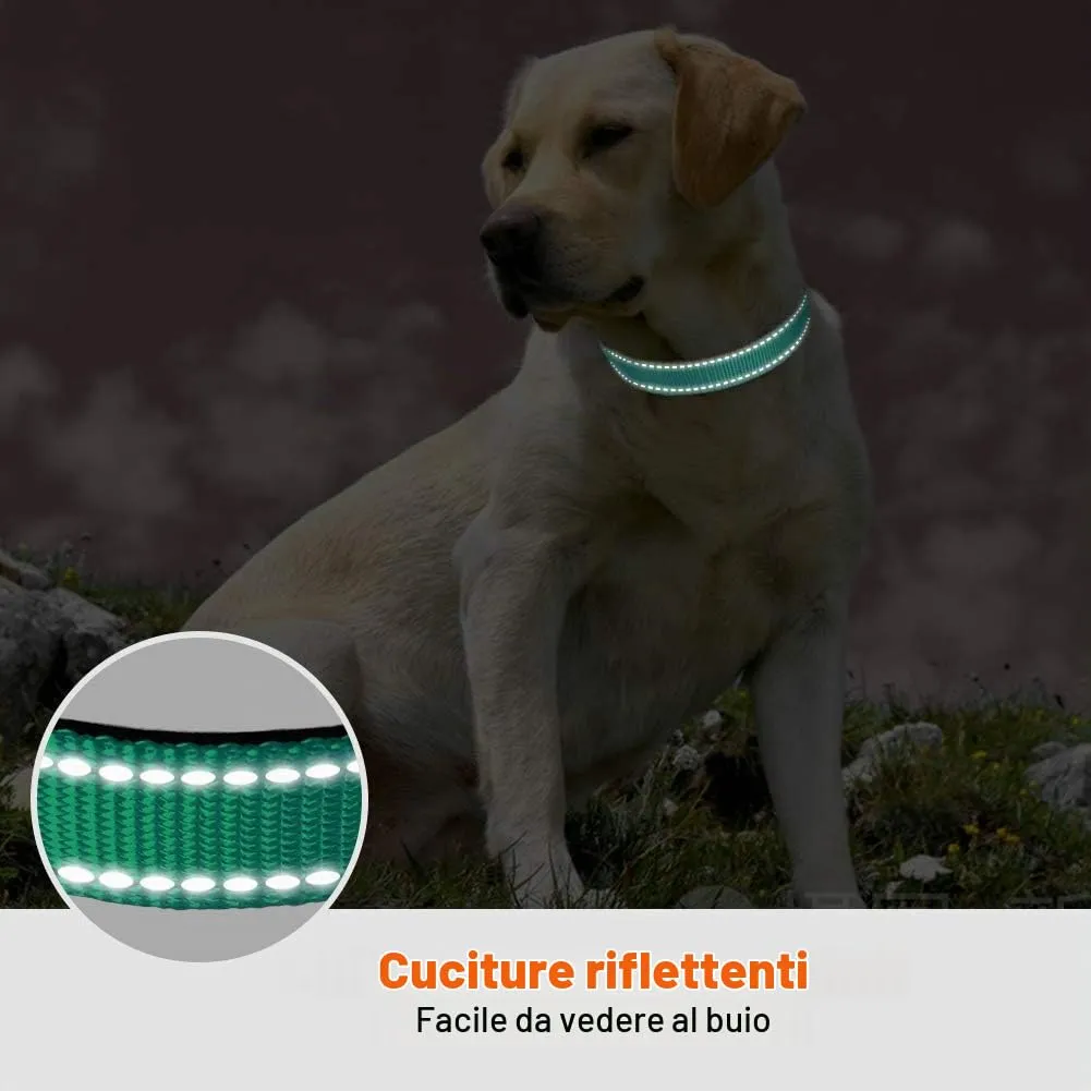 Taglory Collare per Cani in Nylon Imbottito, Regolabile e Riflettente, Taglia M, Turchese - immagine 5