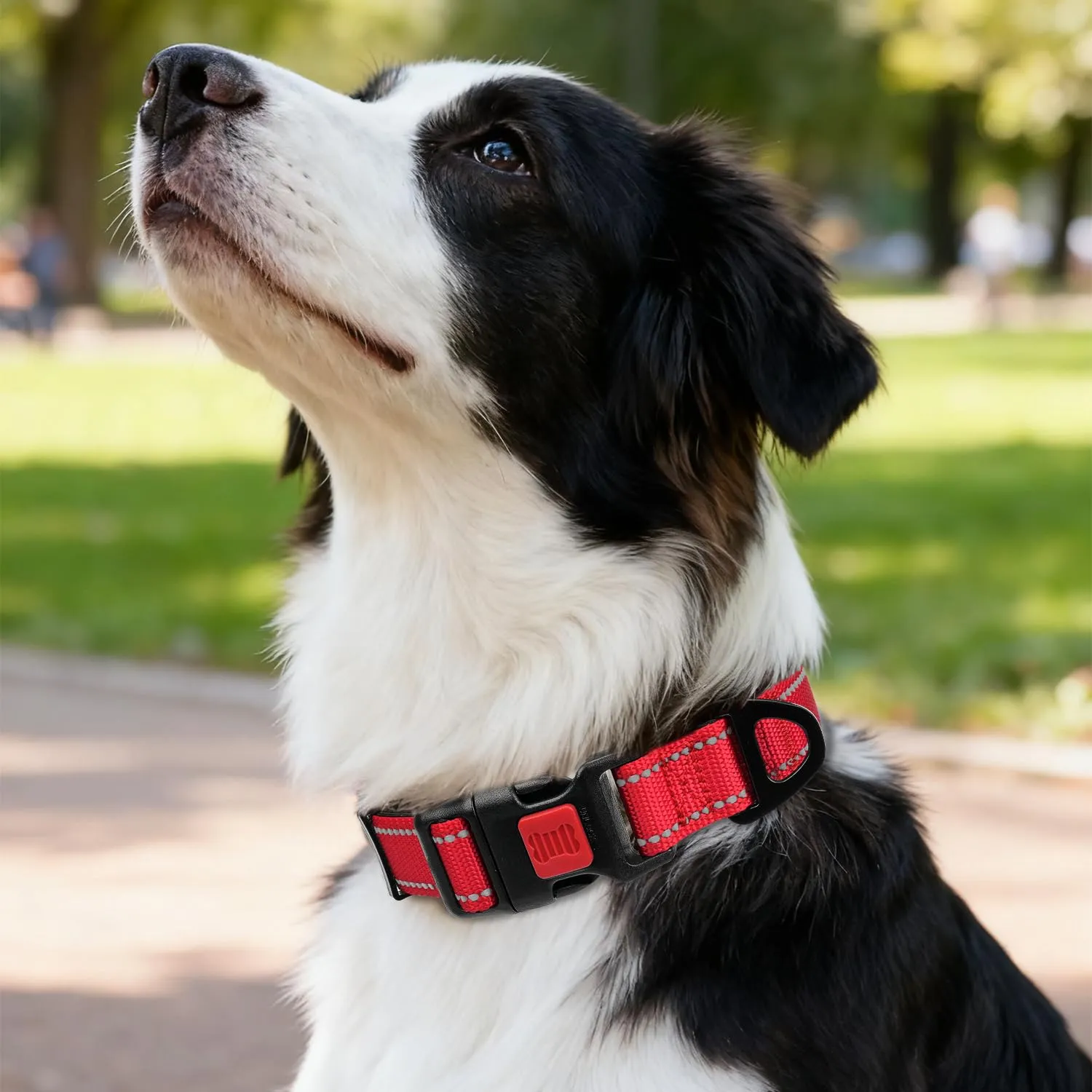 Taglory Collare per Cani in Nylon Imbottito, Regolabile e Riflettente, Taglia Media, Rosso - immagine 2