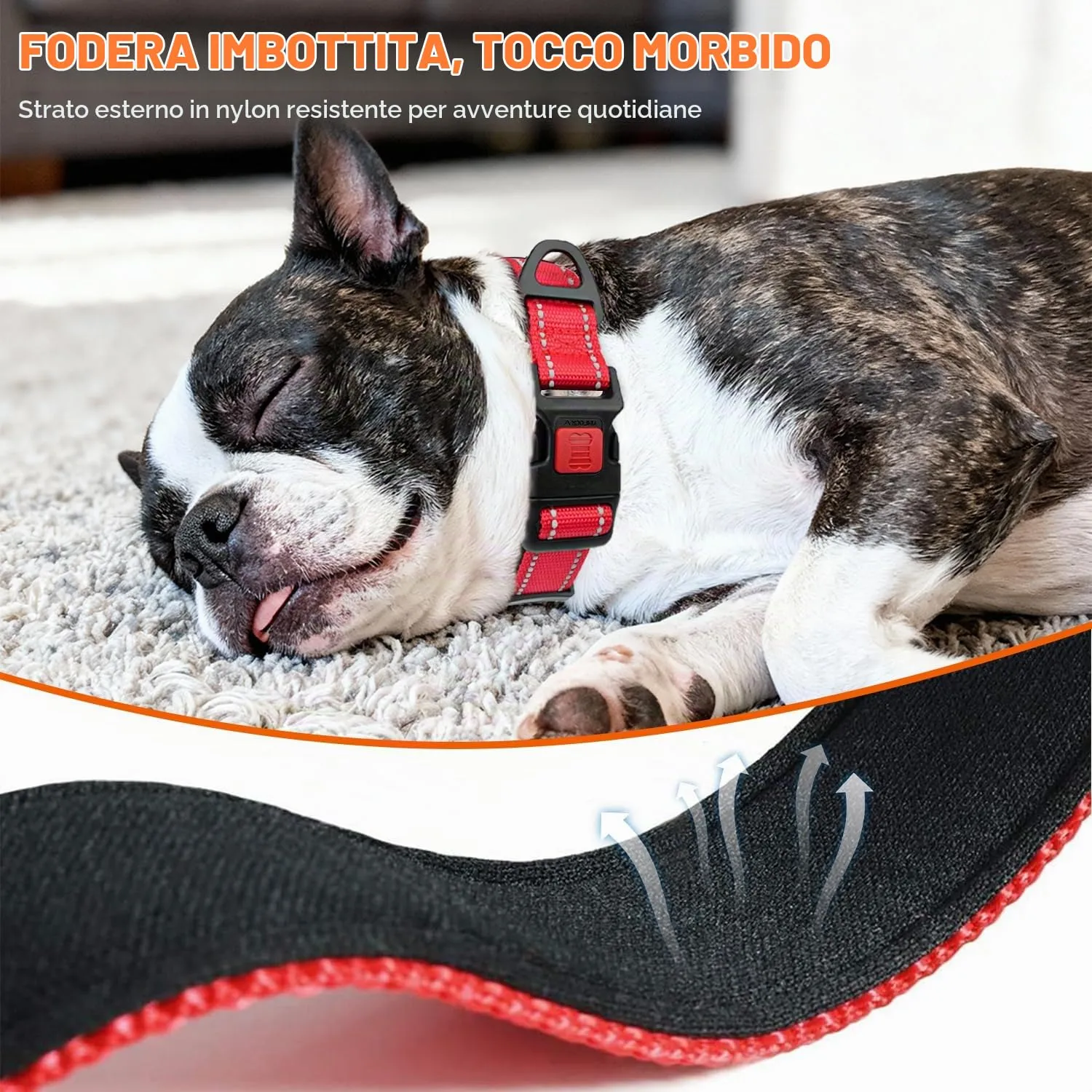 Taglory Collare per Cani in Nylon Imbottito, Regolabile e Riflettente, Taglia Media, Rosso - immagine 4