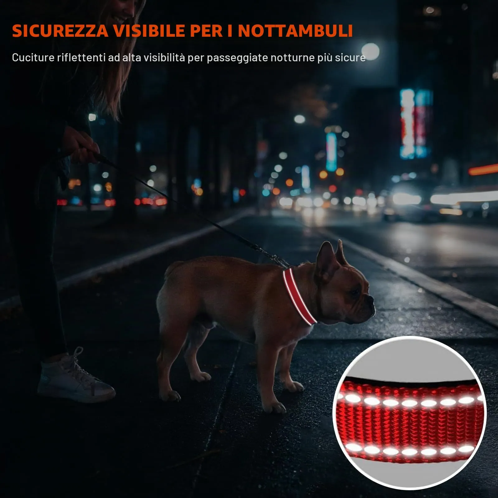 Taglory Collare per Cani in Nylon Imbottito, Regolabile e Riflettente, Taglia Media, Rosso - immagine 5