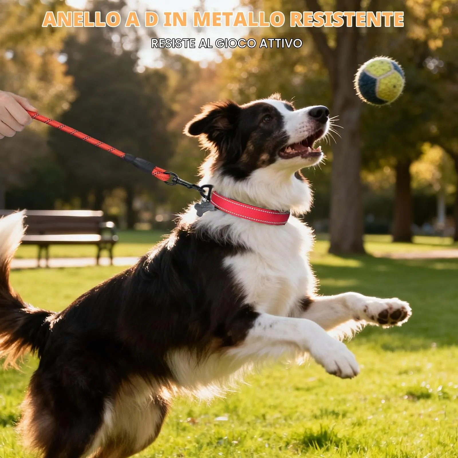 Taglory Collare per Cani in Nylon Imbottito, Regolabile e Riflettente, Taglia Media, Rosso - immagine 6