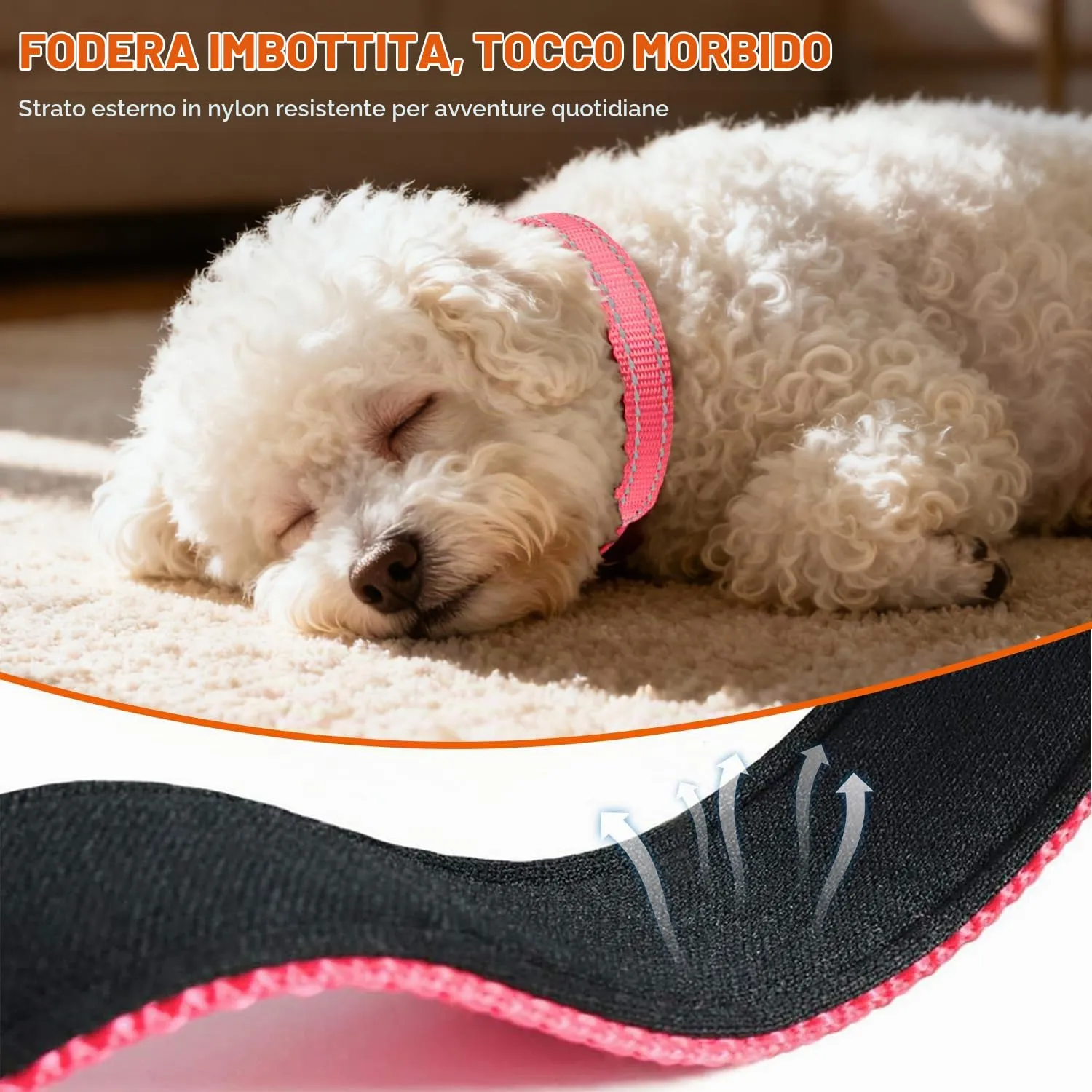 Taglory Collare per Cani in Nylon Imbottito Riflettente, Rosa, XS - immagine 4