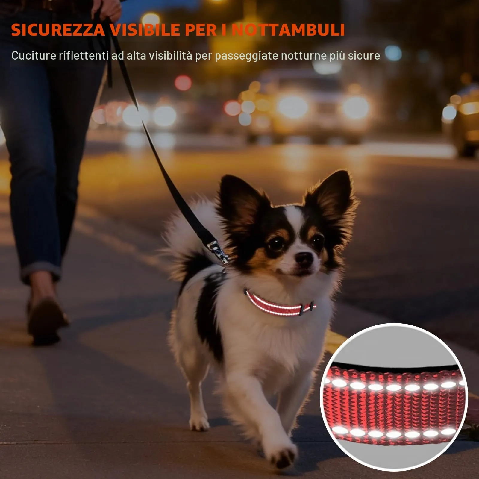 Taglory Collare per Cani in Nylon Imbottito Riflettente, Rosa, XS - immagine 5